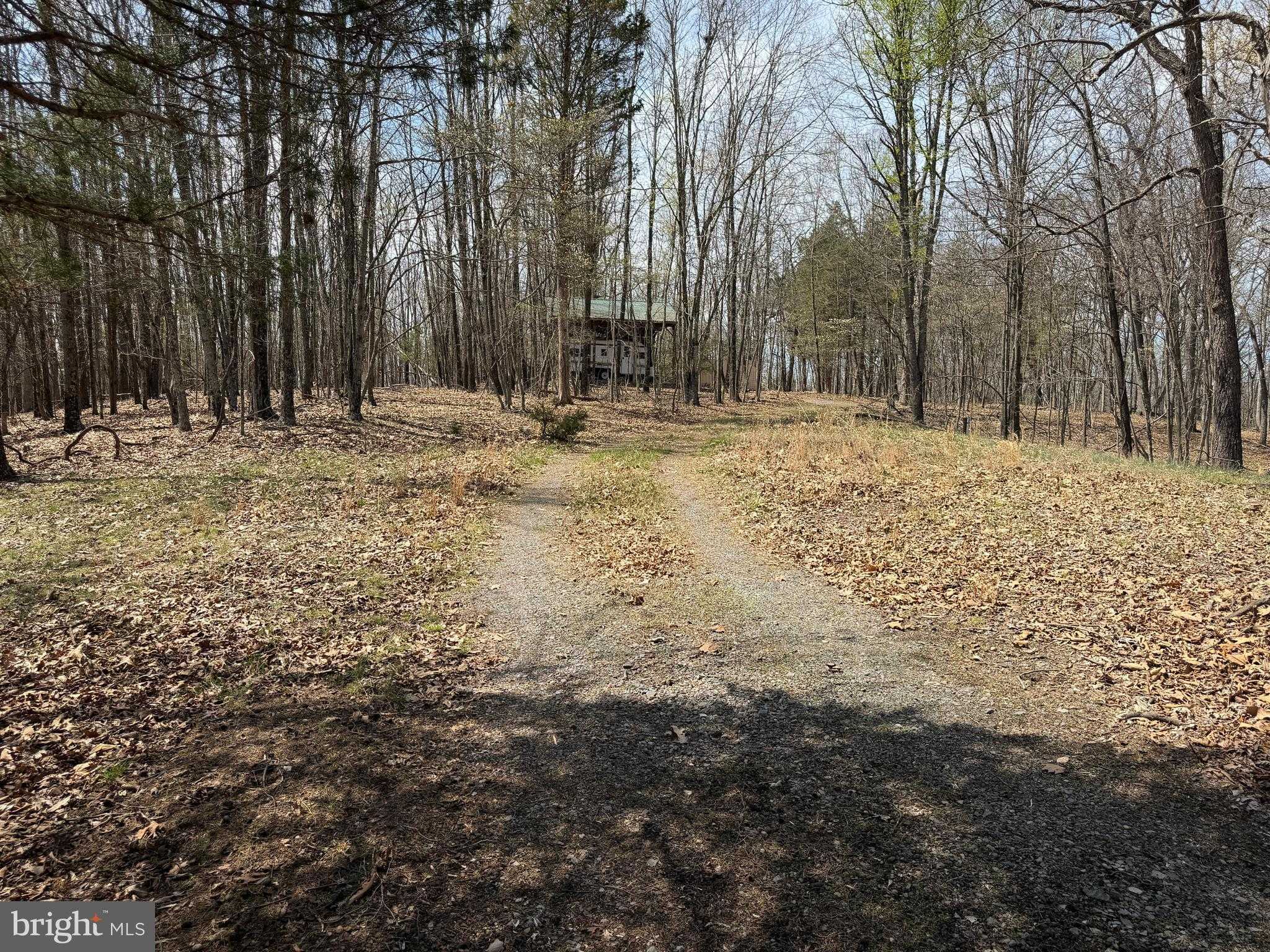 217 Trapper Ln photo 90