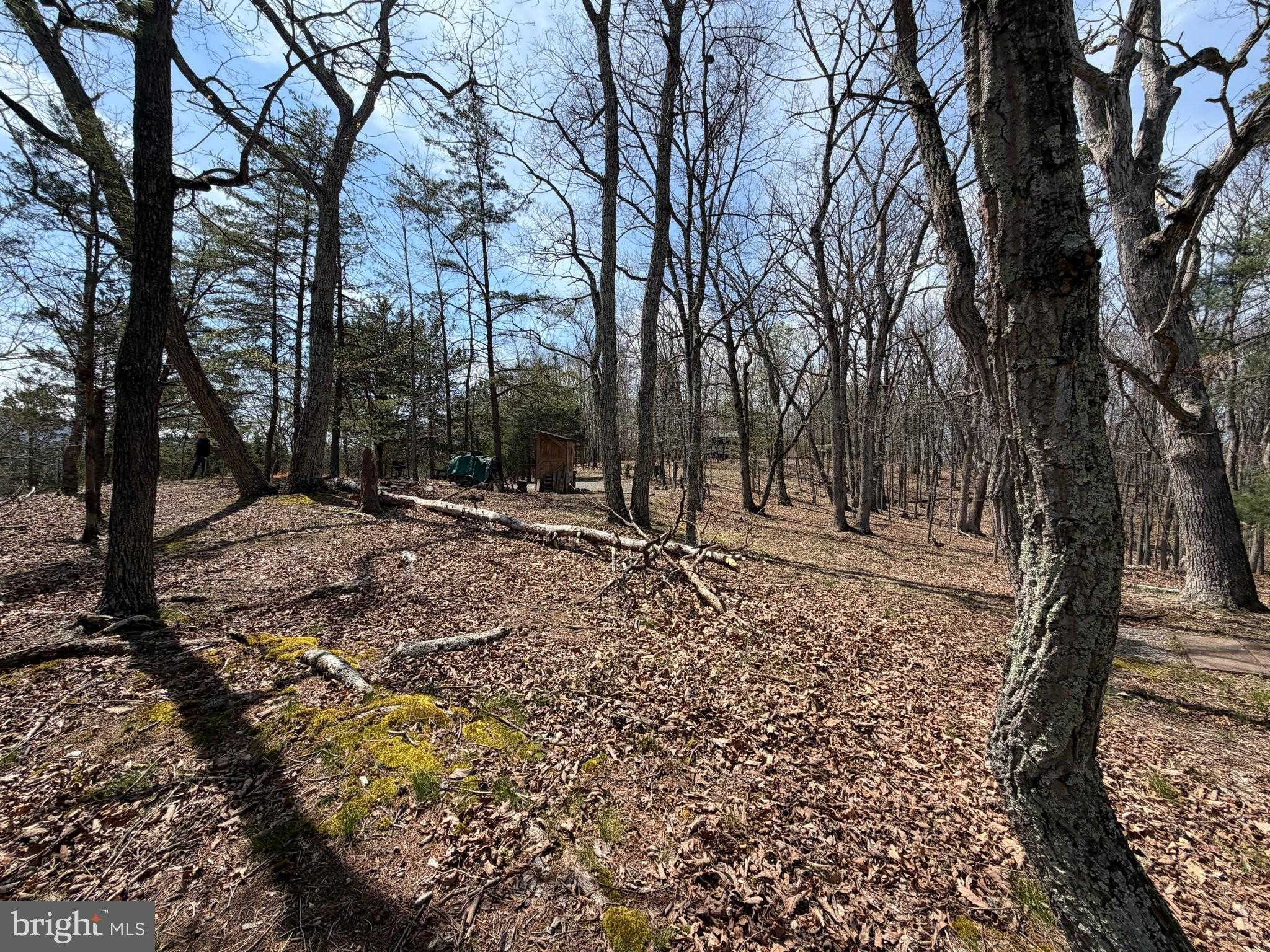 217 Trapper Ln photo 96