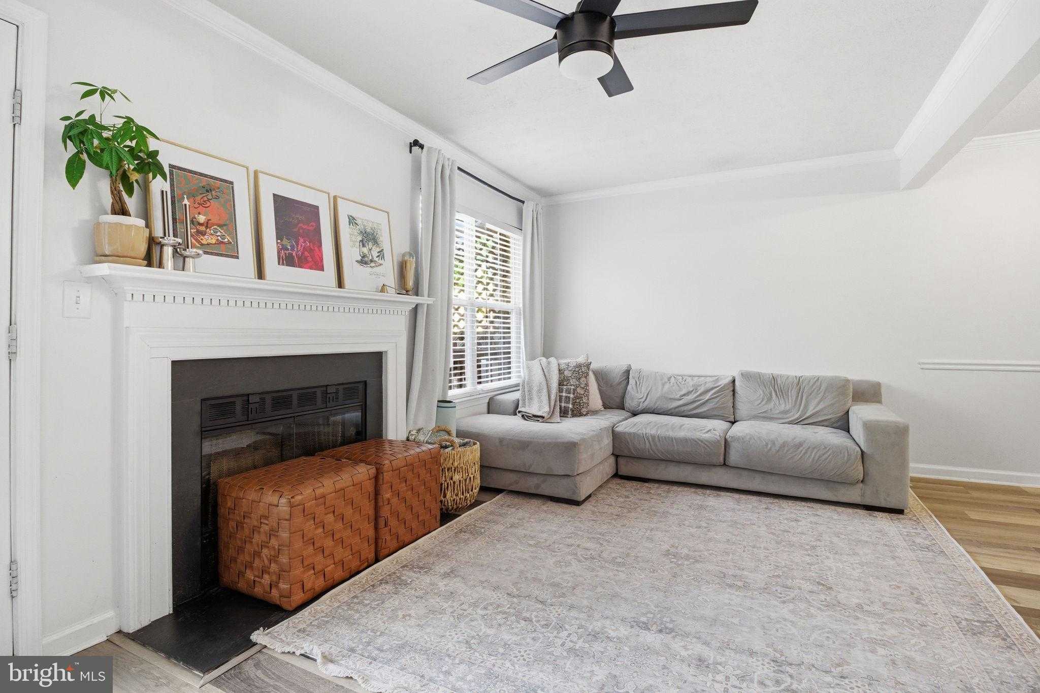 201 Mews CT photo 11