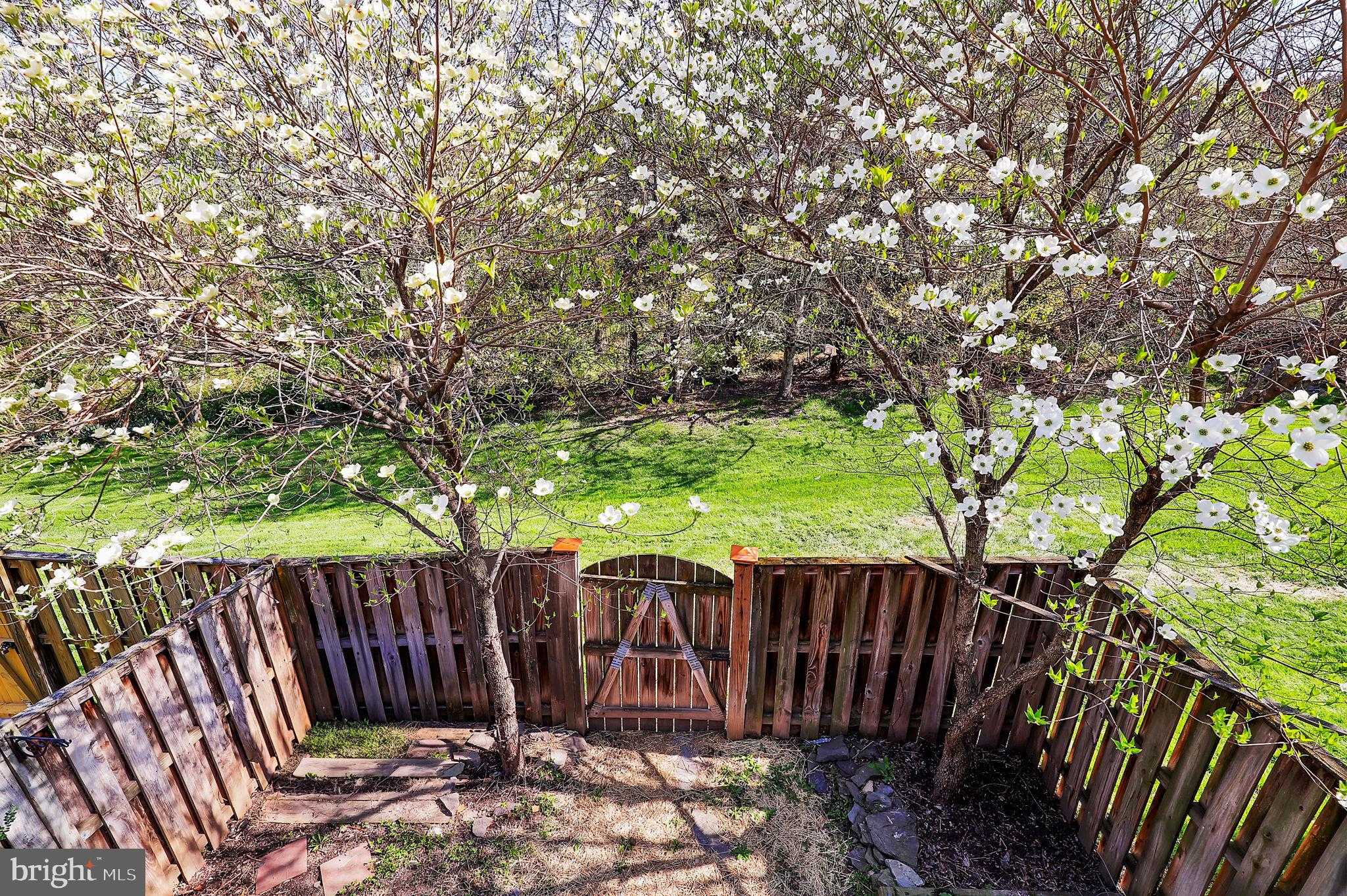 9424 Berkley Ln photo 21