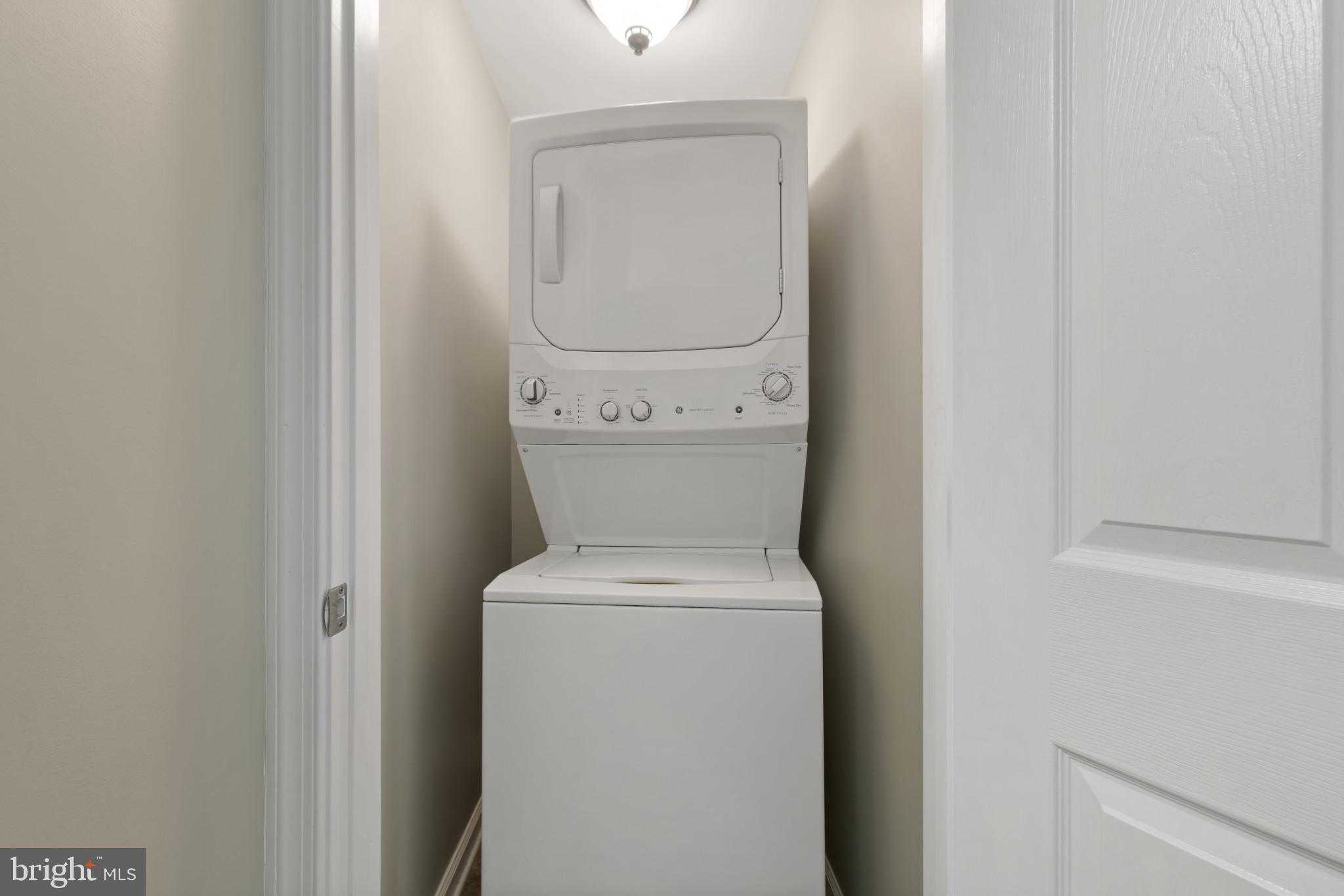 550 Yellow Lily CT photo 41