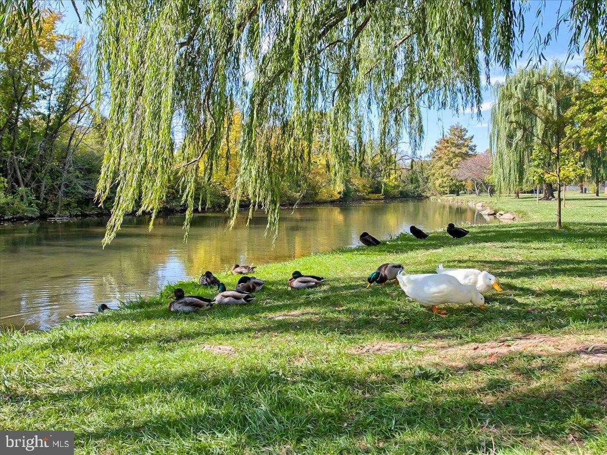 301 W 7th St photo 32