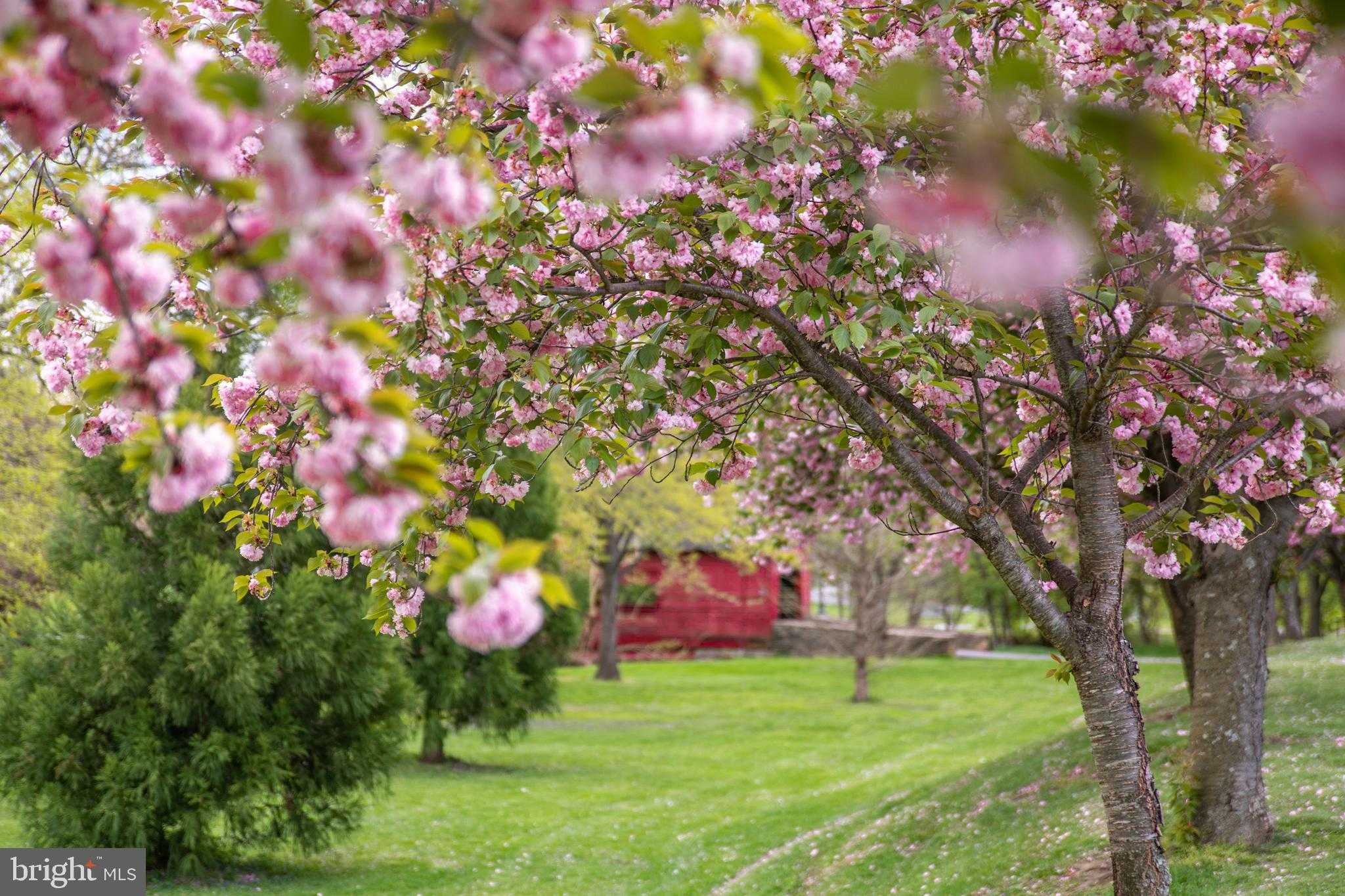 301 W 7th St photo 33