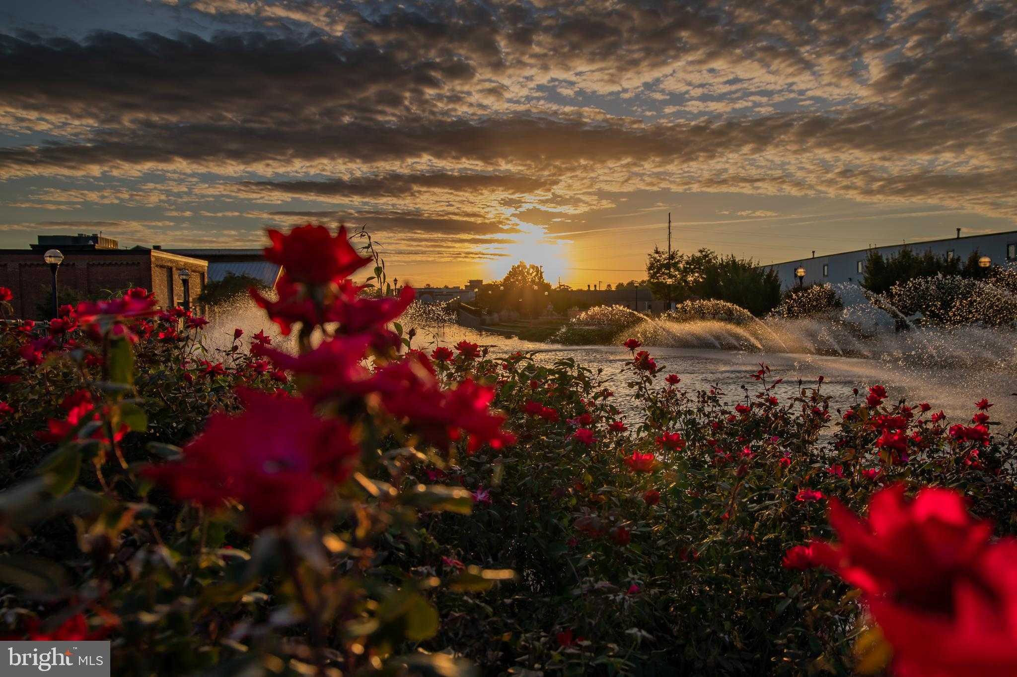 301 W 7th St photo 38