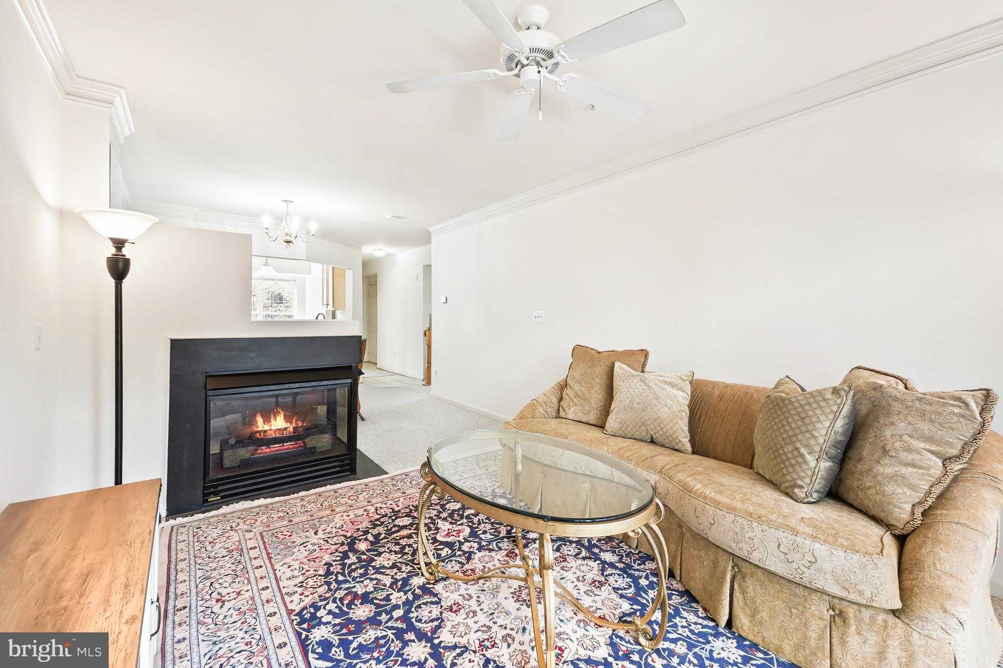 8856 Ashgrove House Ln Apt 102 photo 17