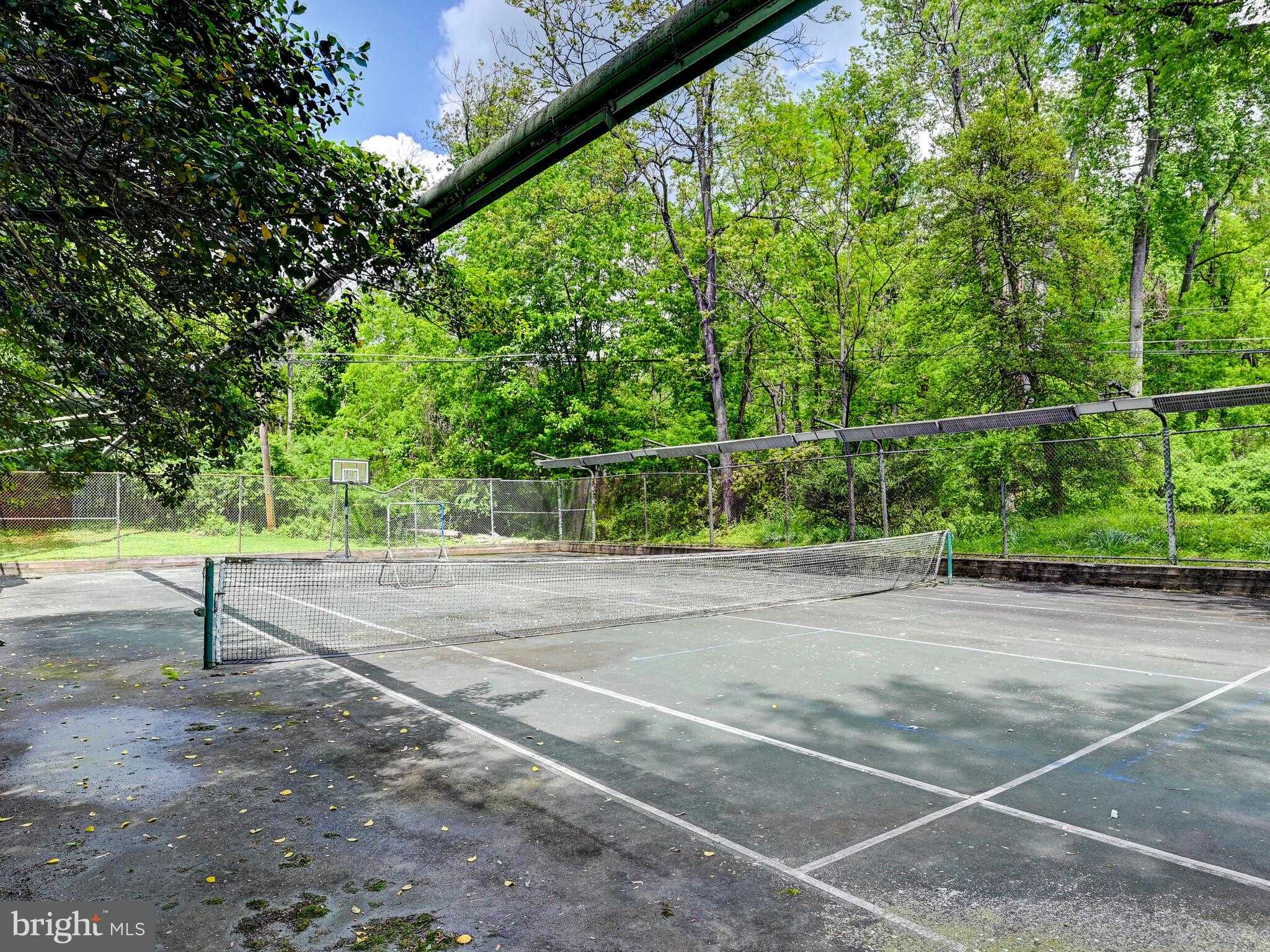 3604 Barberry CT photo 38