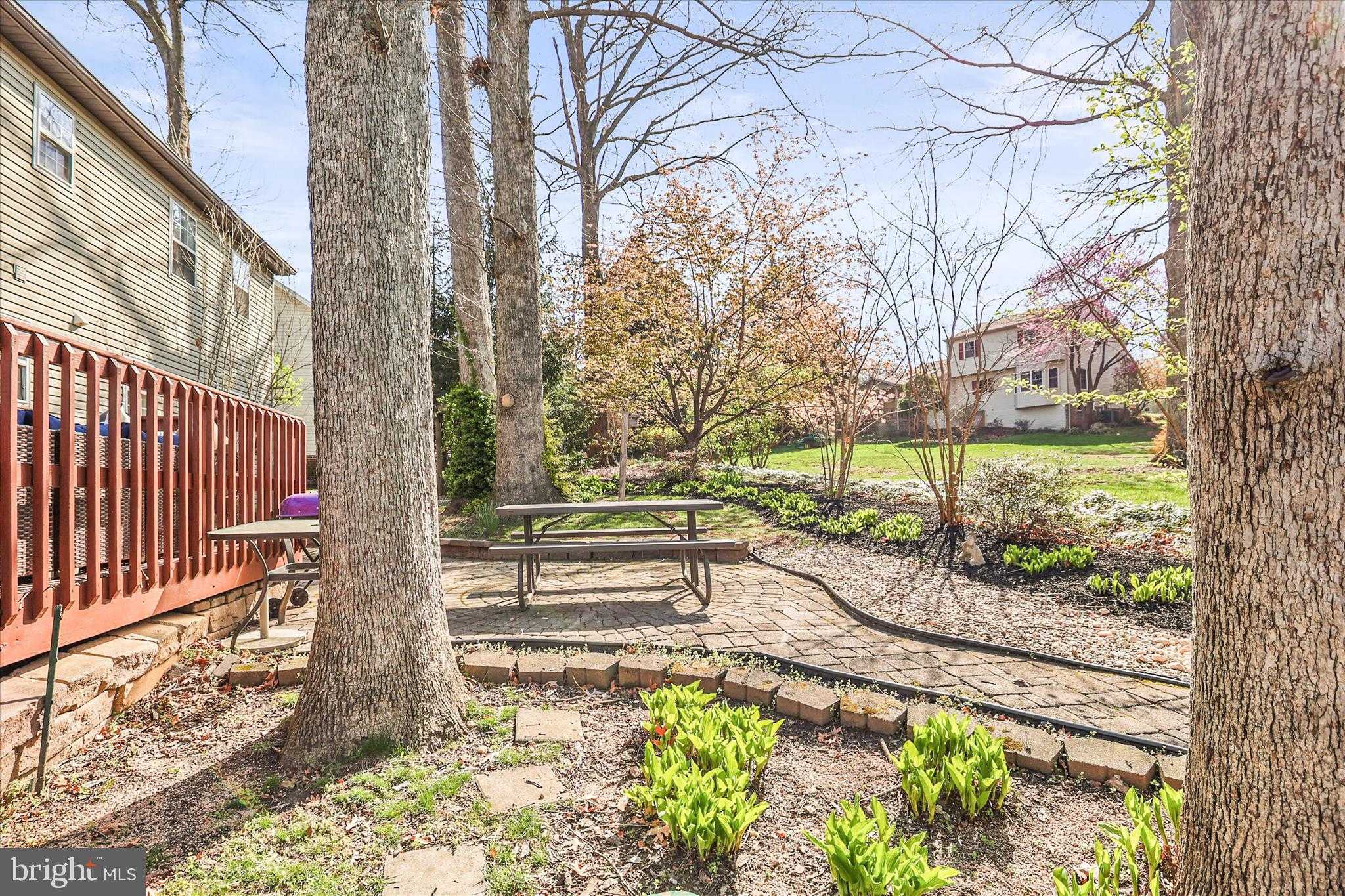 10 Amanda Ave photo 36