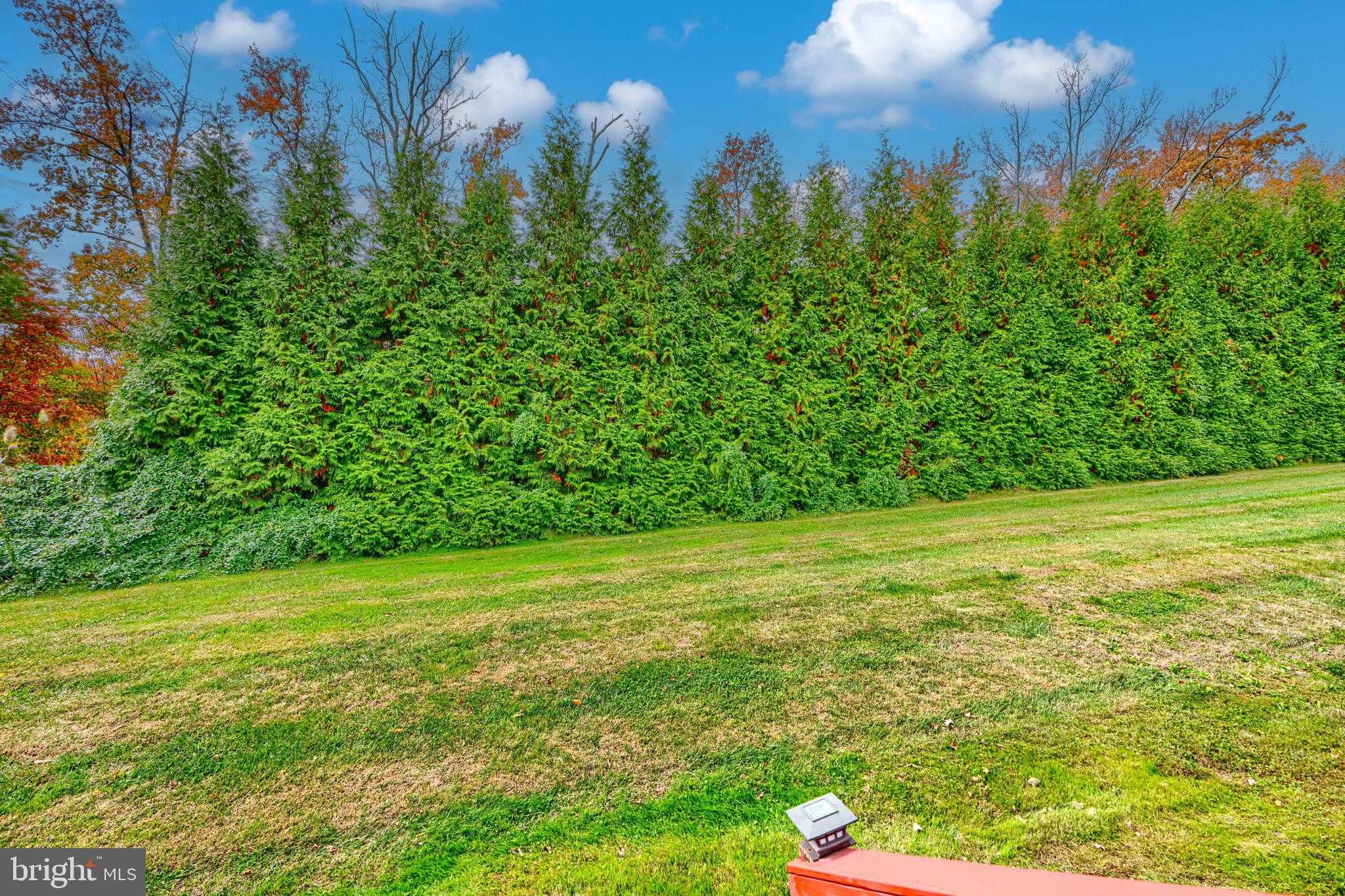 537 Cider Press CT # 13 photo 17