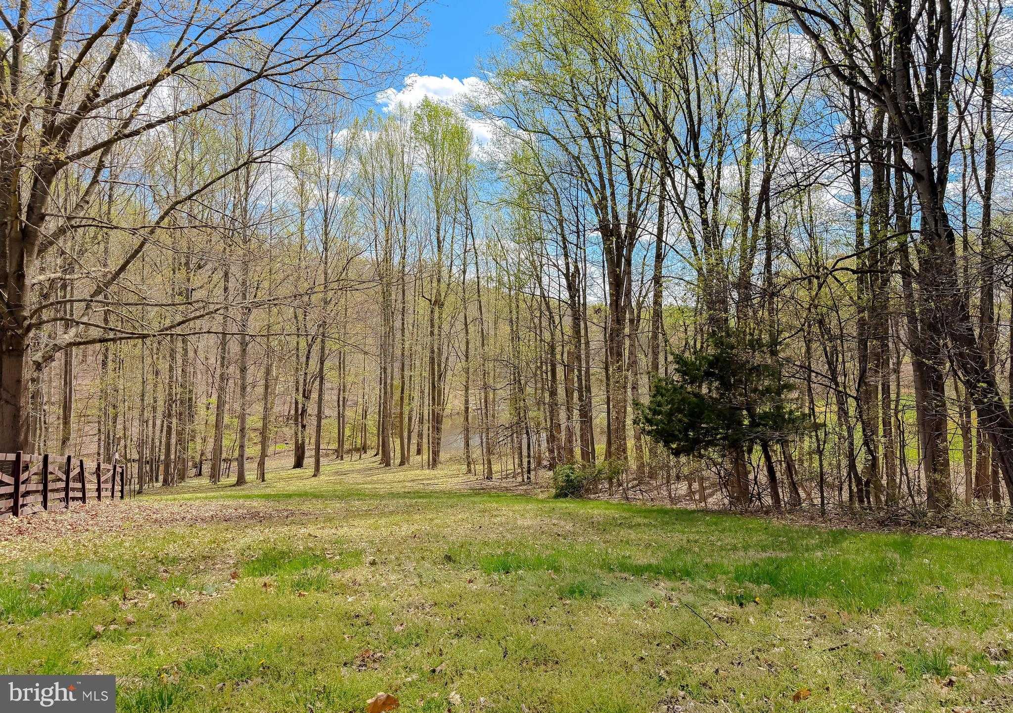 6305 Cool Springs Farm CT photo 61