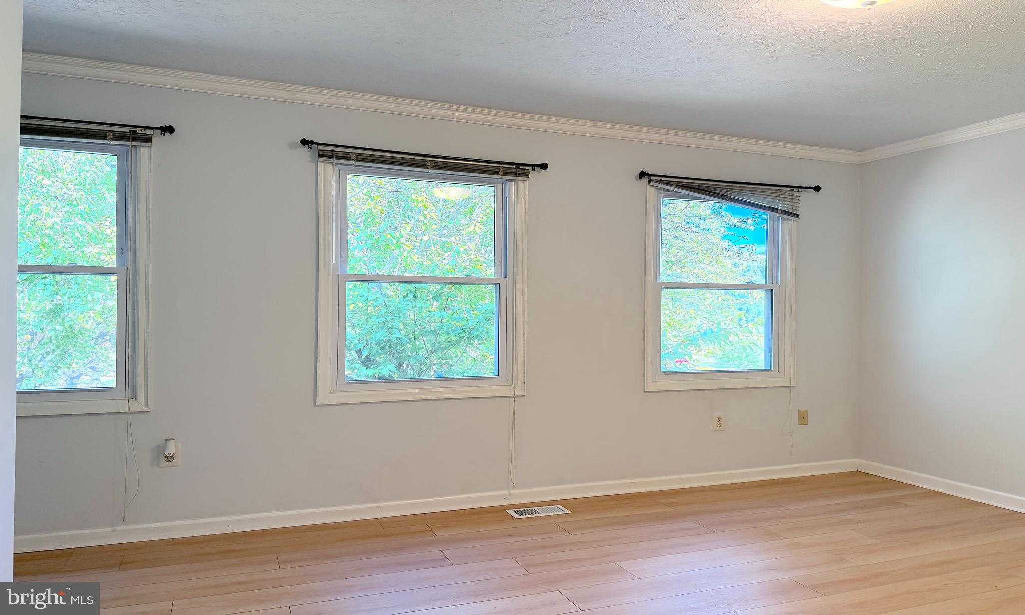 12437 Sky Blue Dr photo 10