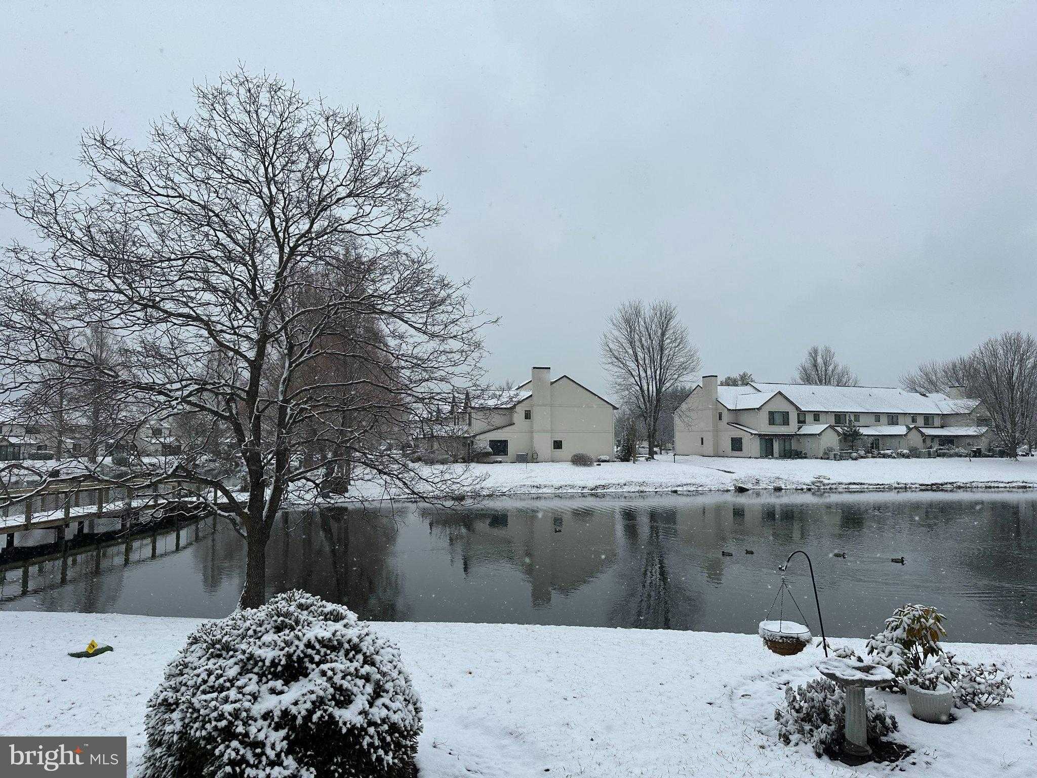 29 Queen Mary CT photo 68