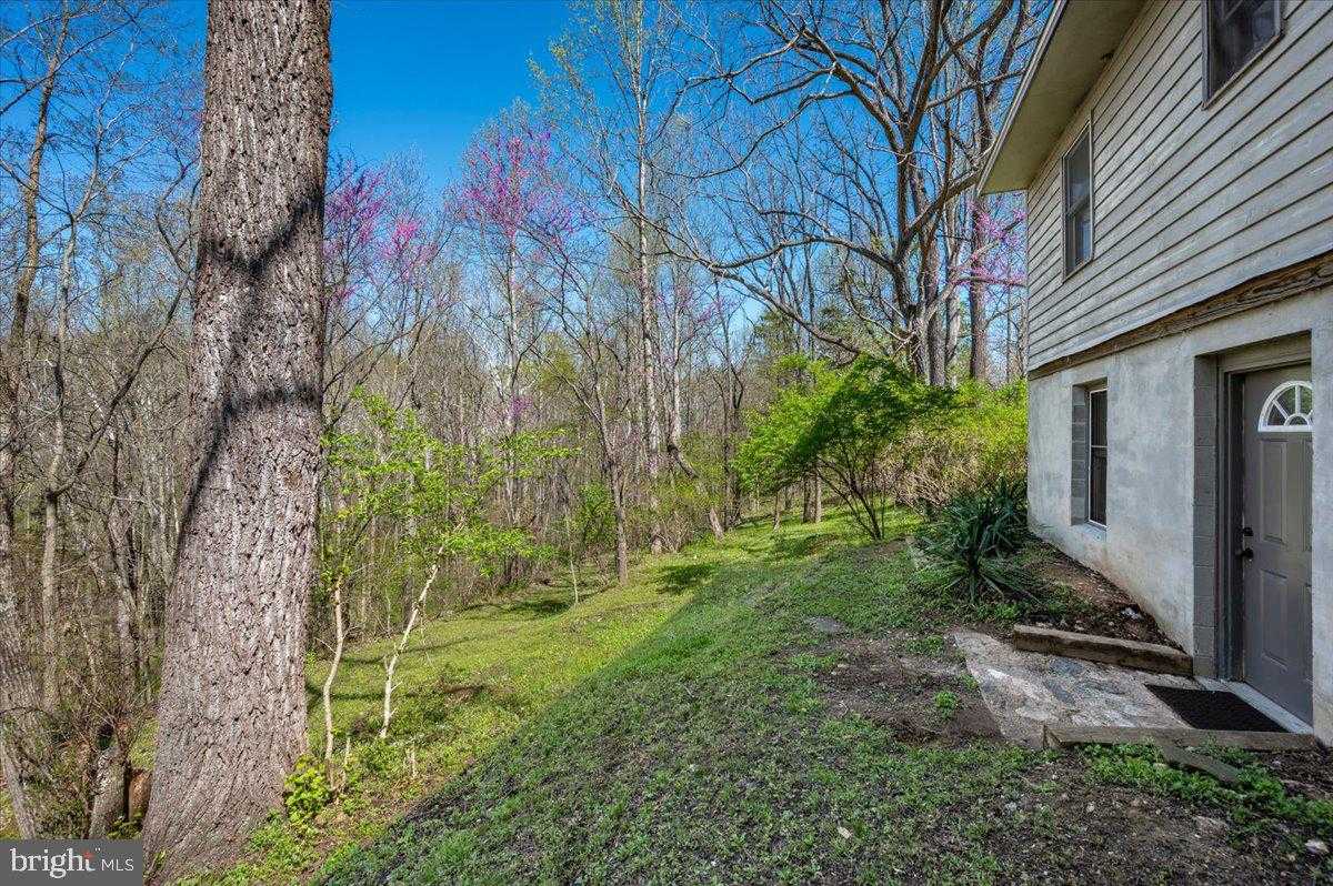 4304 Sharmans Run photo 49