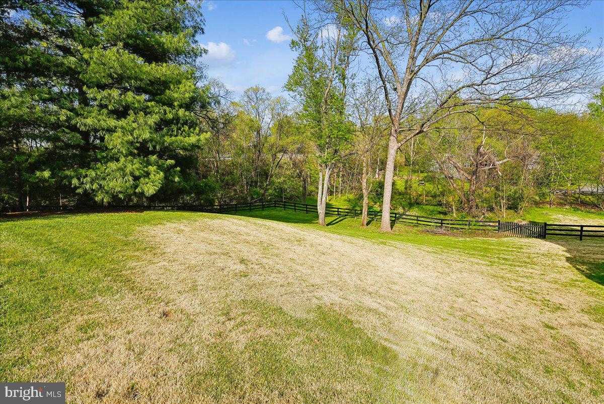 35580 Sassafras Dr photo 56