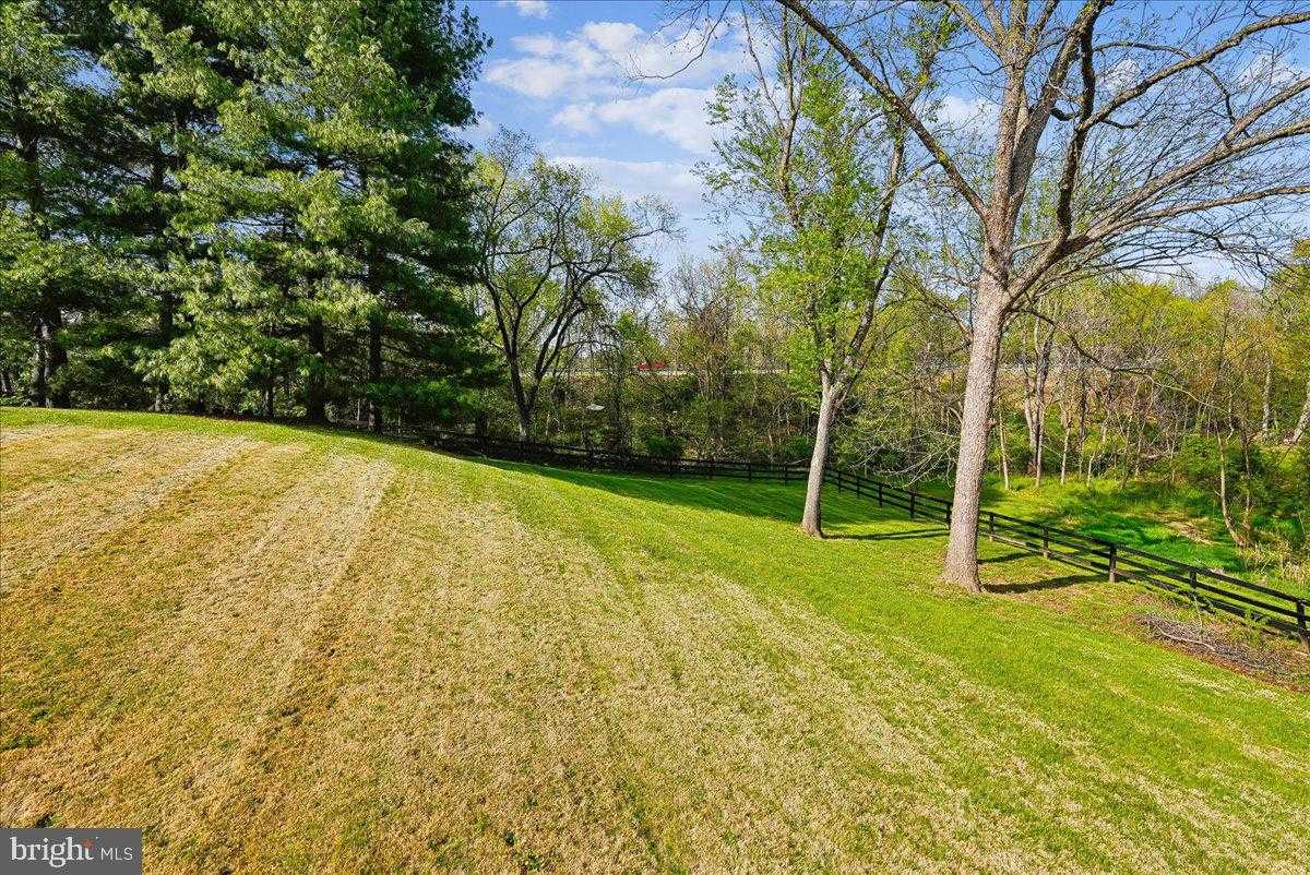 35580 Sassafras Dr photo 57