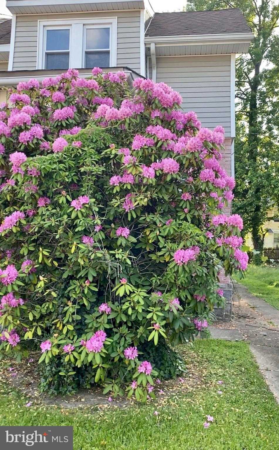 422 Arbor Rd photo 2