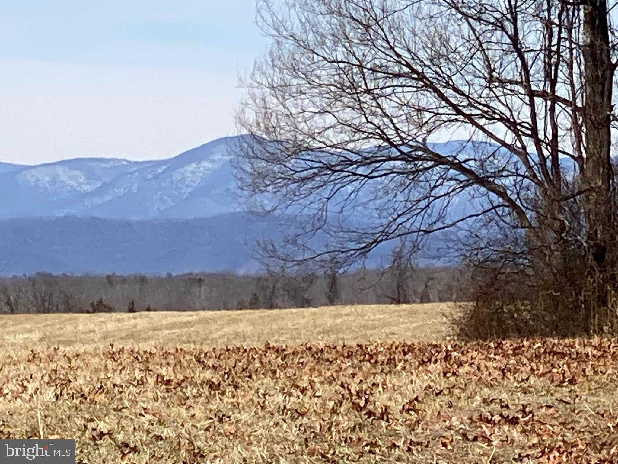 E Culpeper St photo 4