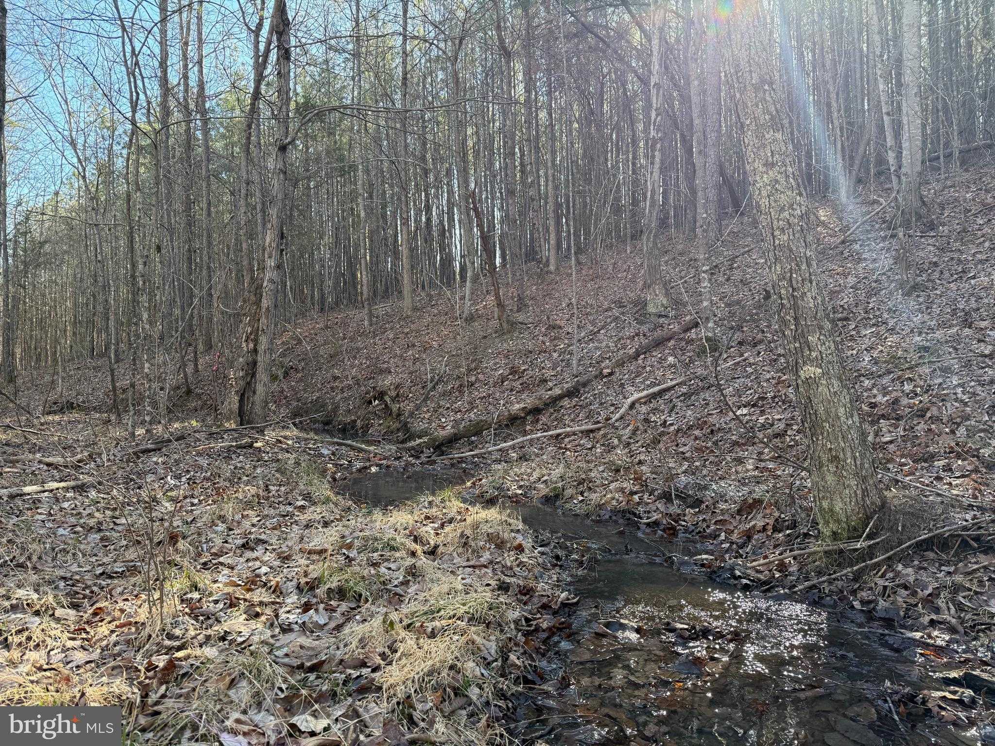 Mountain Cut Rd photo 36