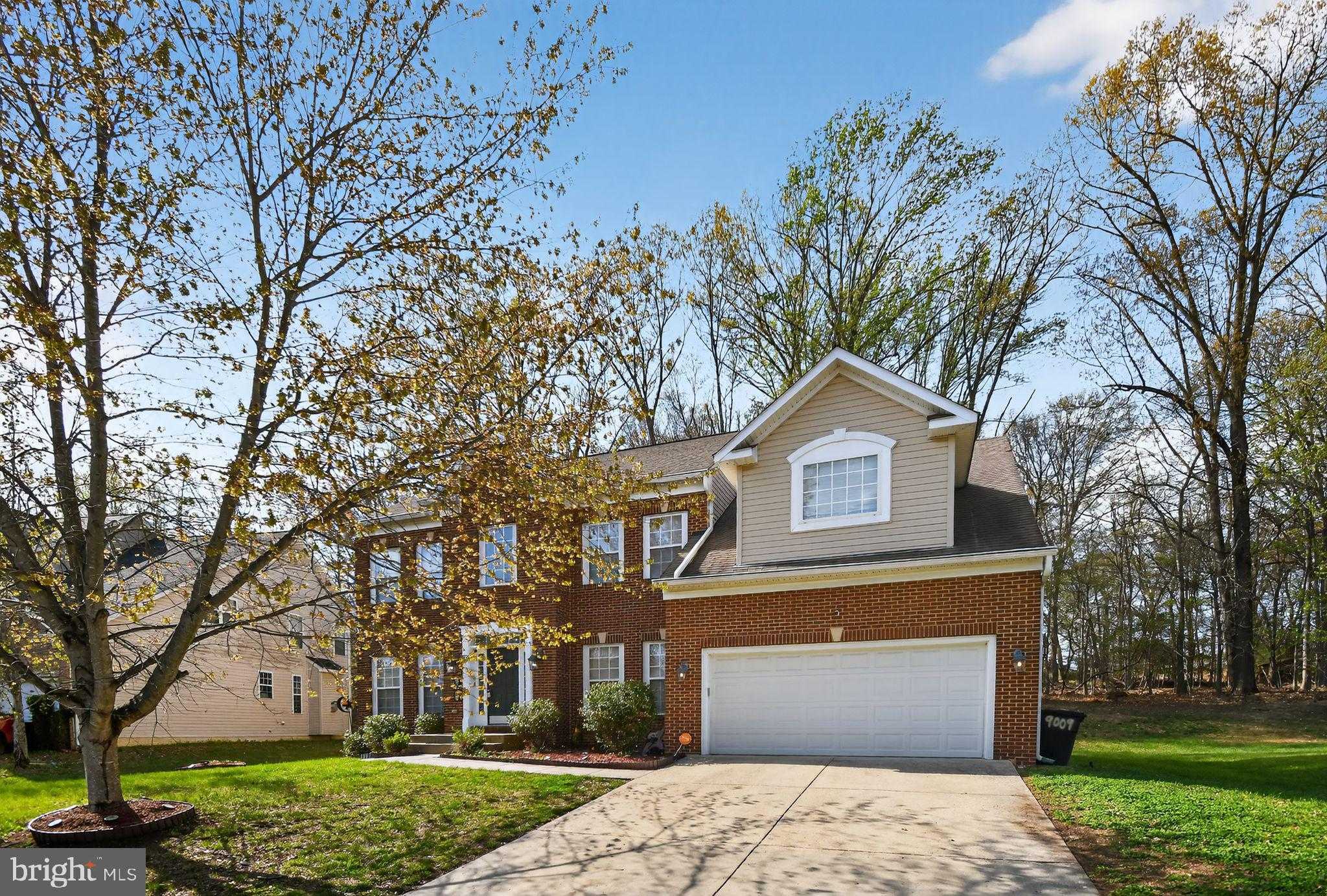 9009 Eldon Dr photo 6