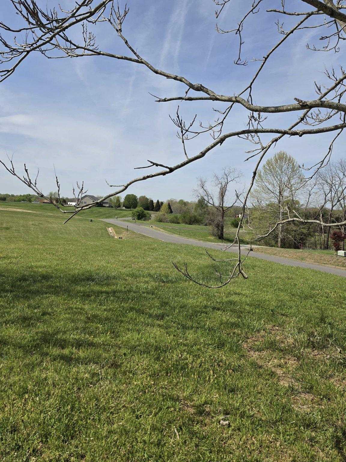 6711 Morning Dew Dr photo 2