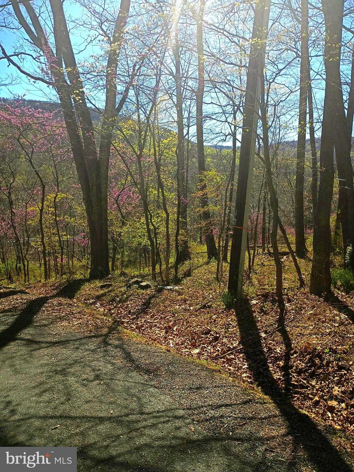 16 Dogwood Trl photo 2