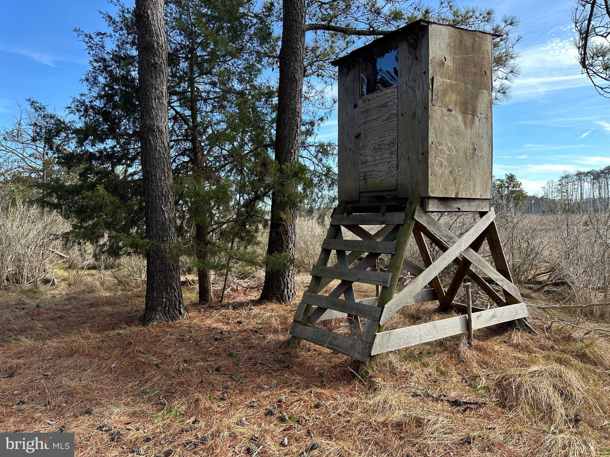 2775 Toddville Rd photo 40