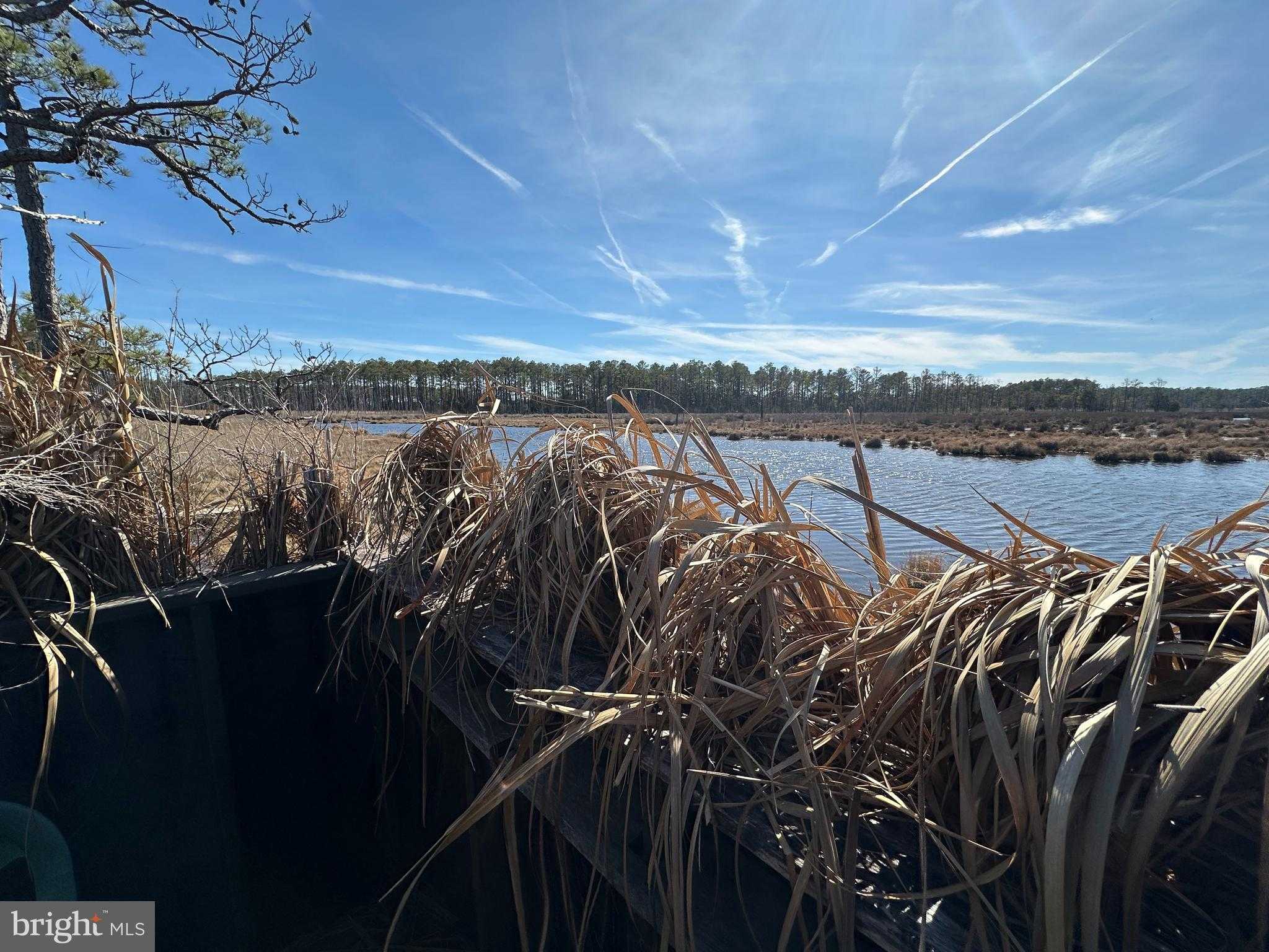 2775 Toddville Rd photo 15