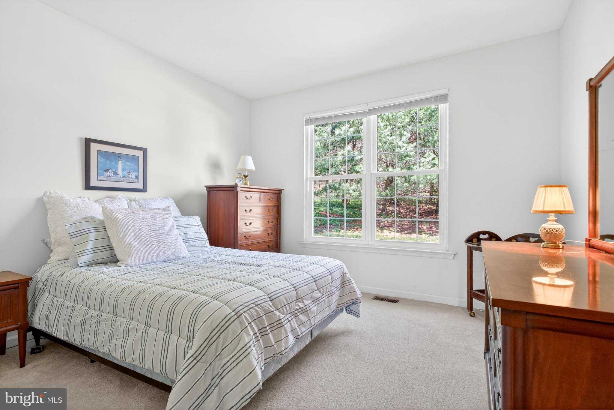 1504 Iron Horse CT photo 28