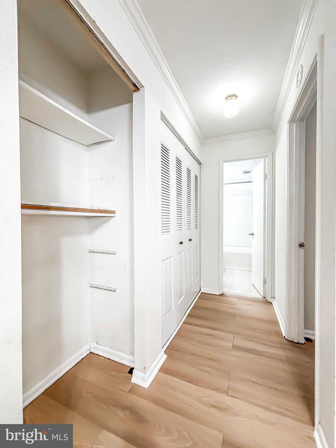 11402 Cherry Hill Rd Unit 104 photo 15