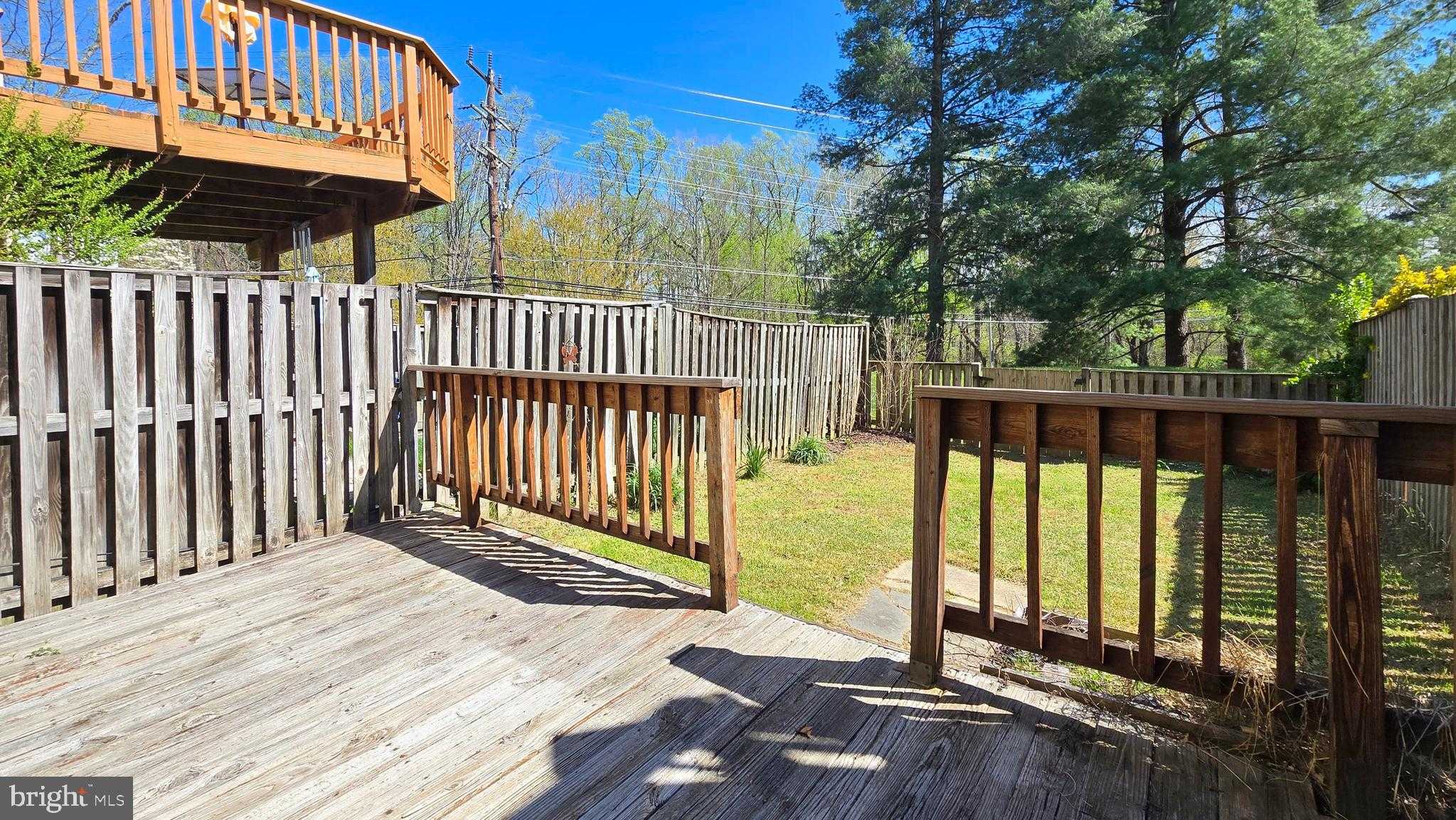 3 Birdseye CT photo 4