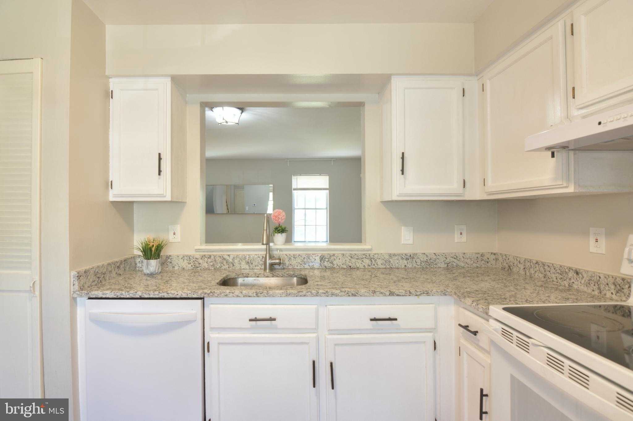 3 Birdseye CT photo 9