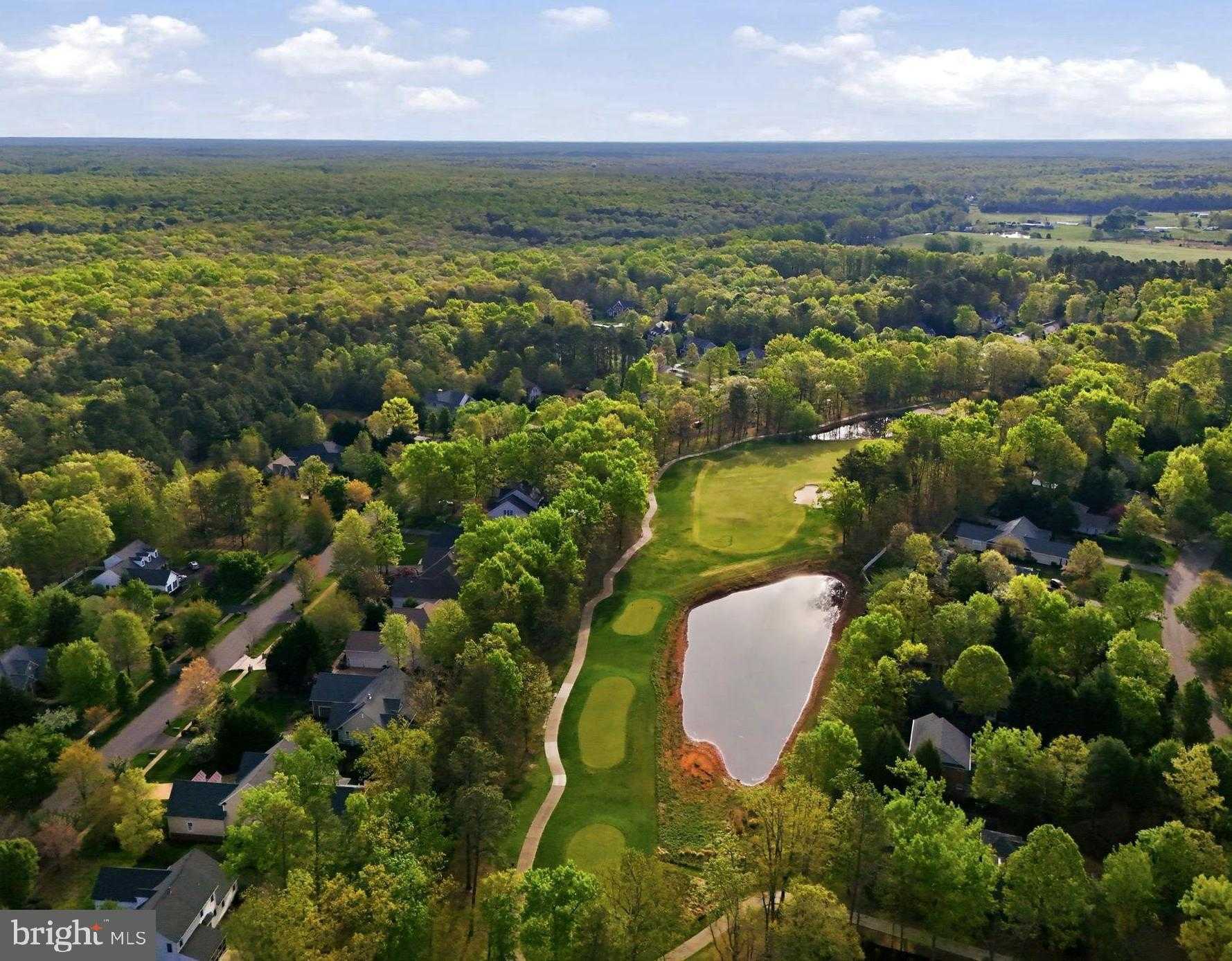 10916 Chatham Ridge Way photo 63