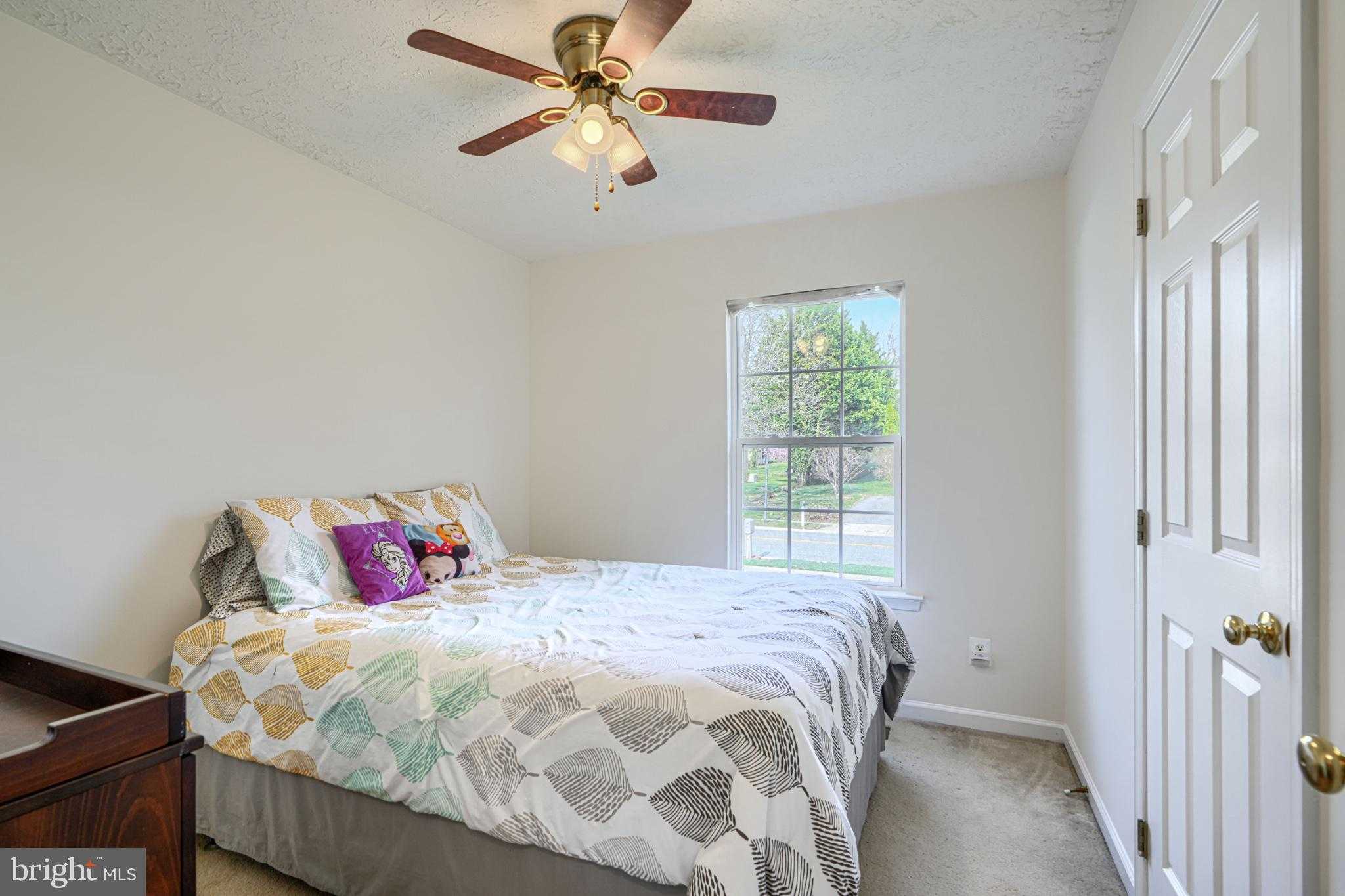 49 Riverview Dr photo 24