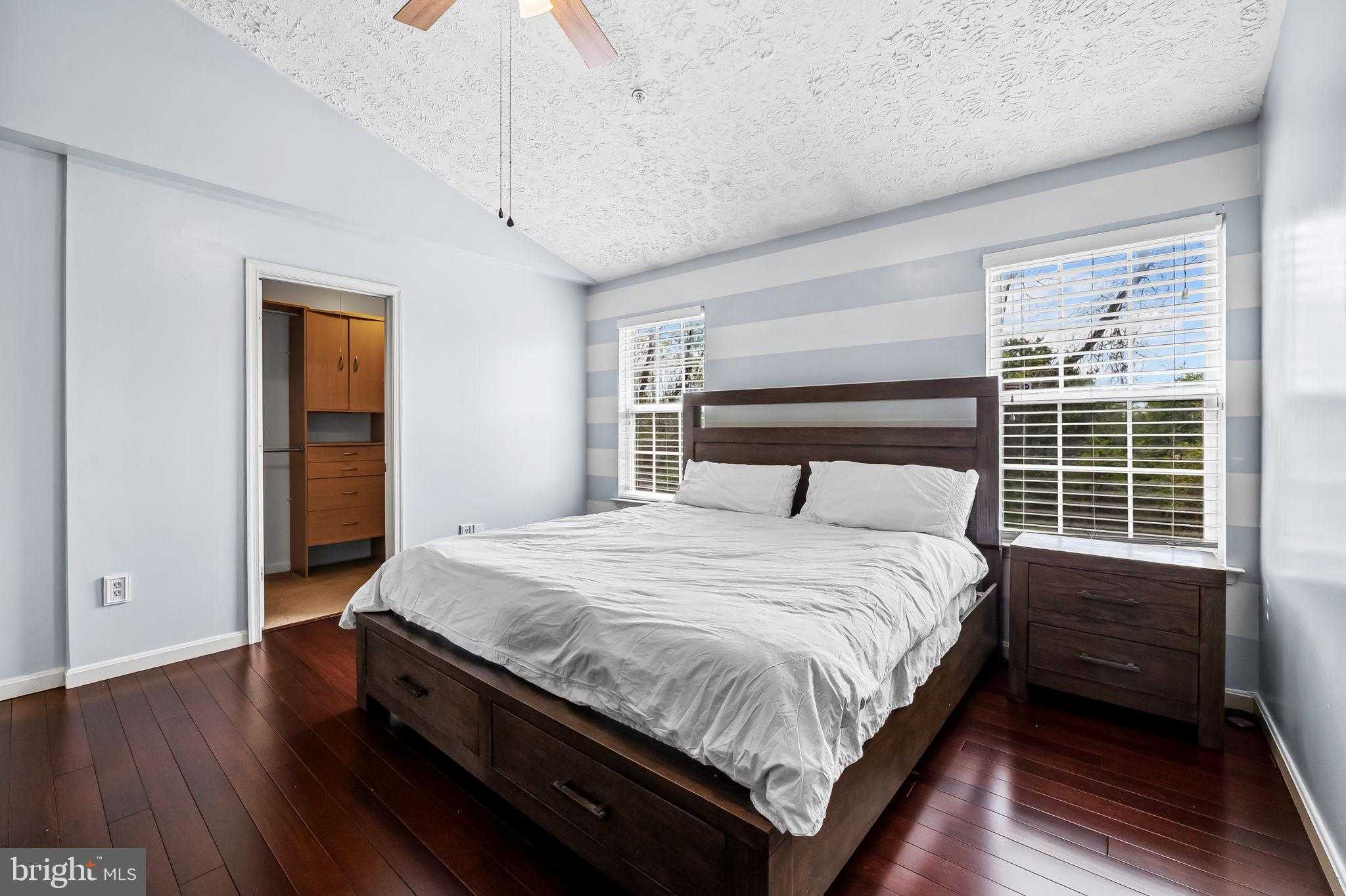 518 June Apple CT photo 16