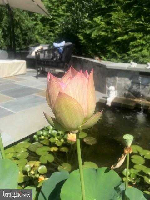 3311 Coquelin Ter photo 58