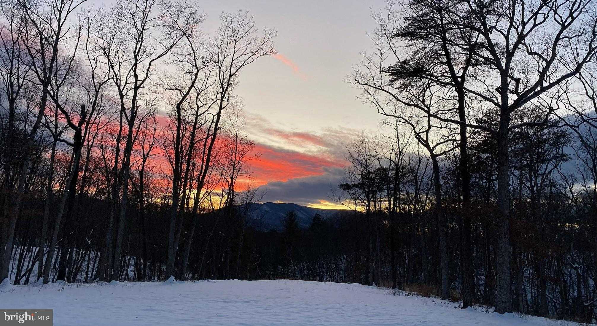 155 Turkey Ln photo 37