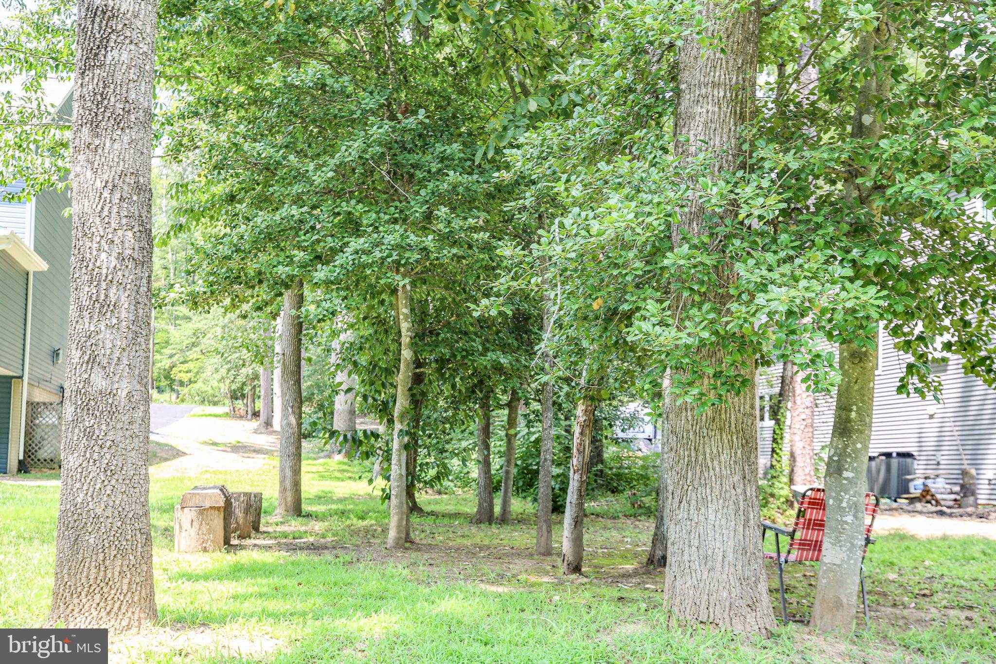 108 Confederate Cir photo 5