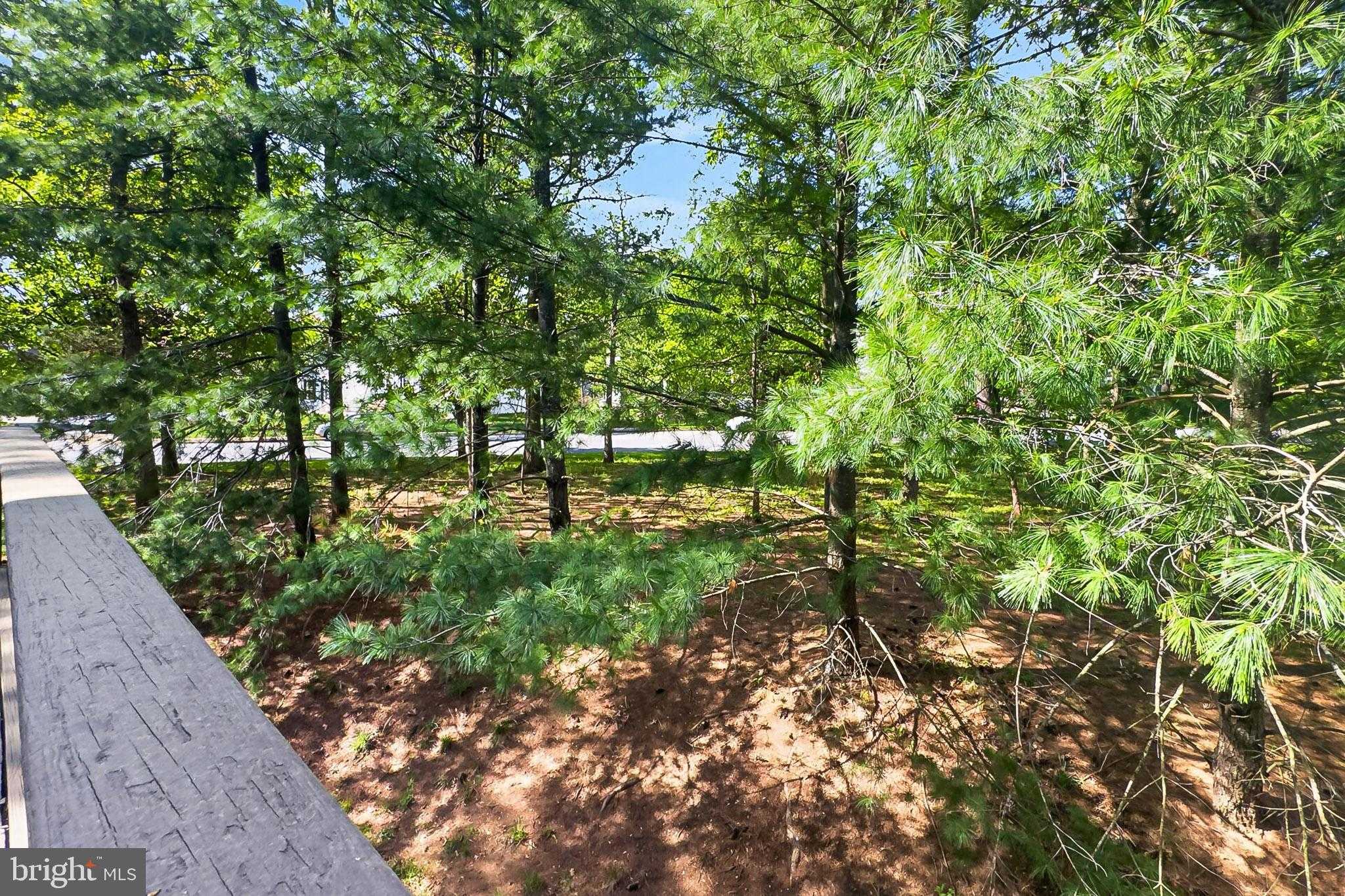 44039 Kings Arms Sq photo 22