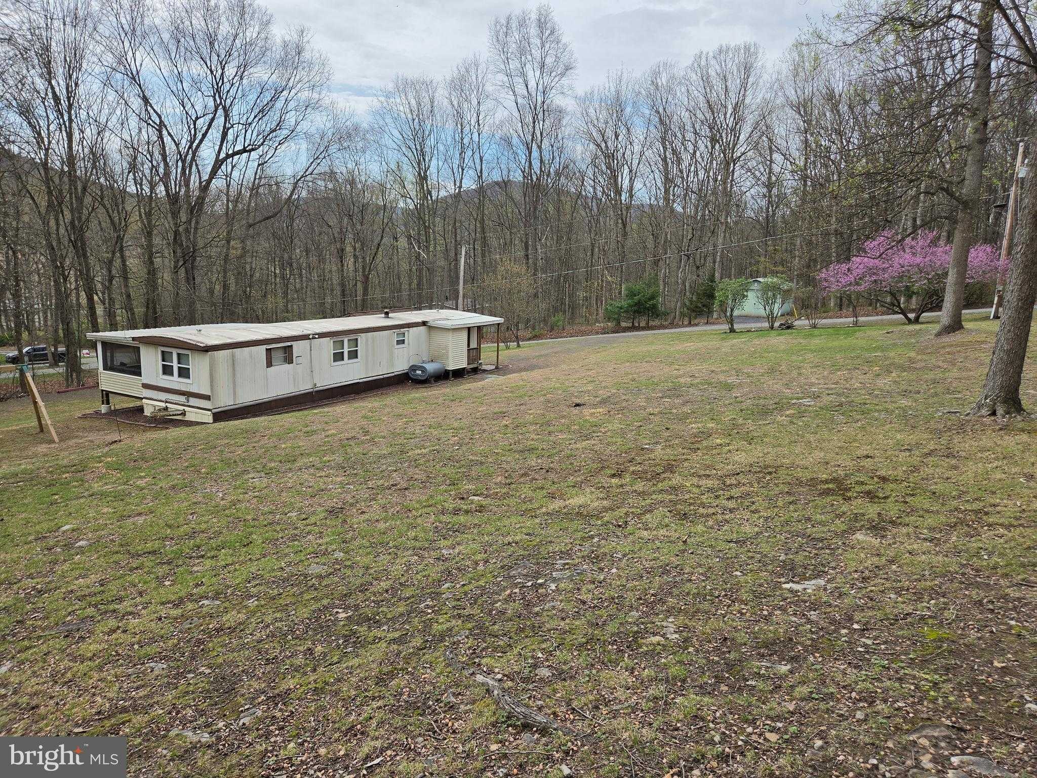 3673 Terrace Ln photo 4