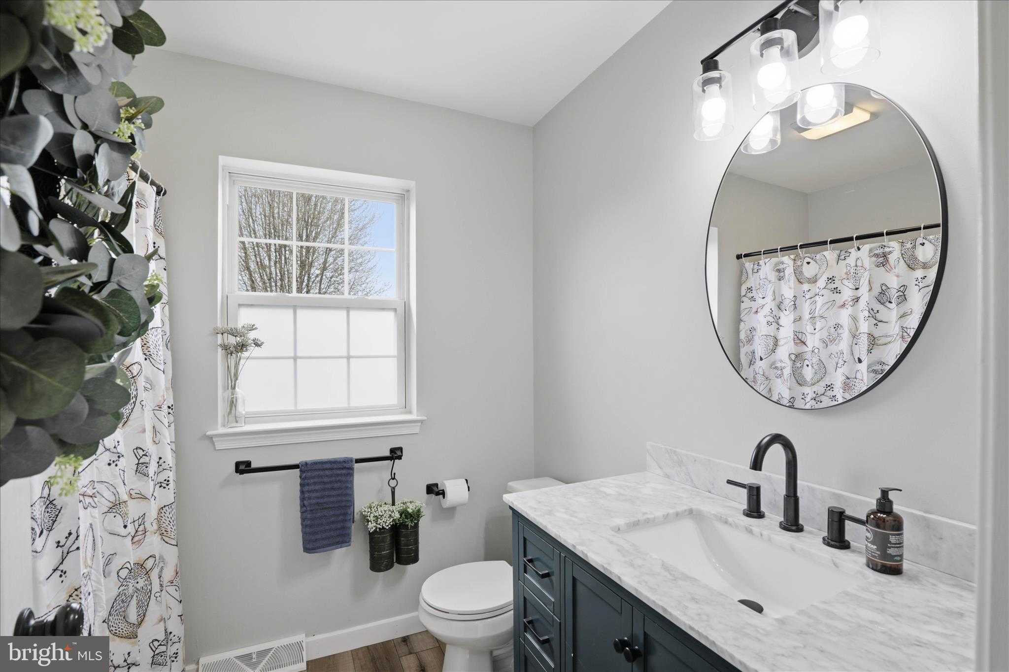 42 Misty Meadow Dr photo 48