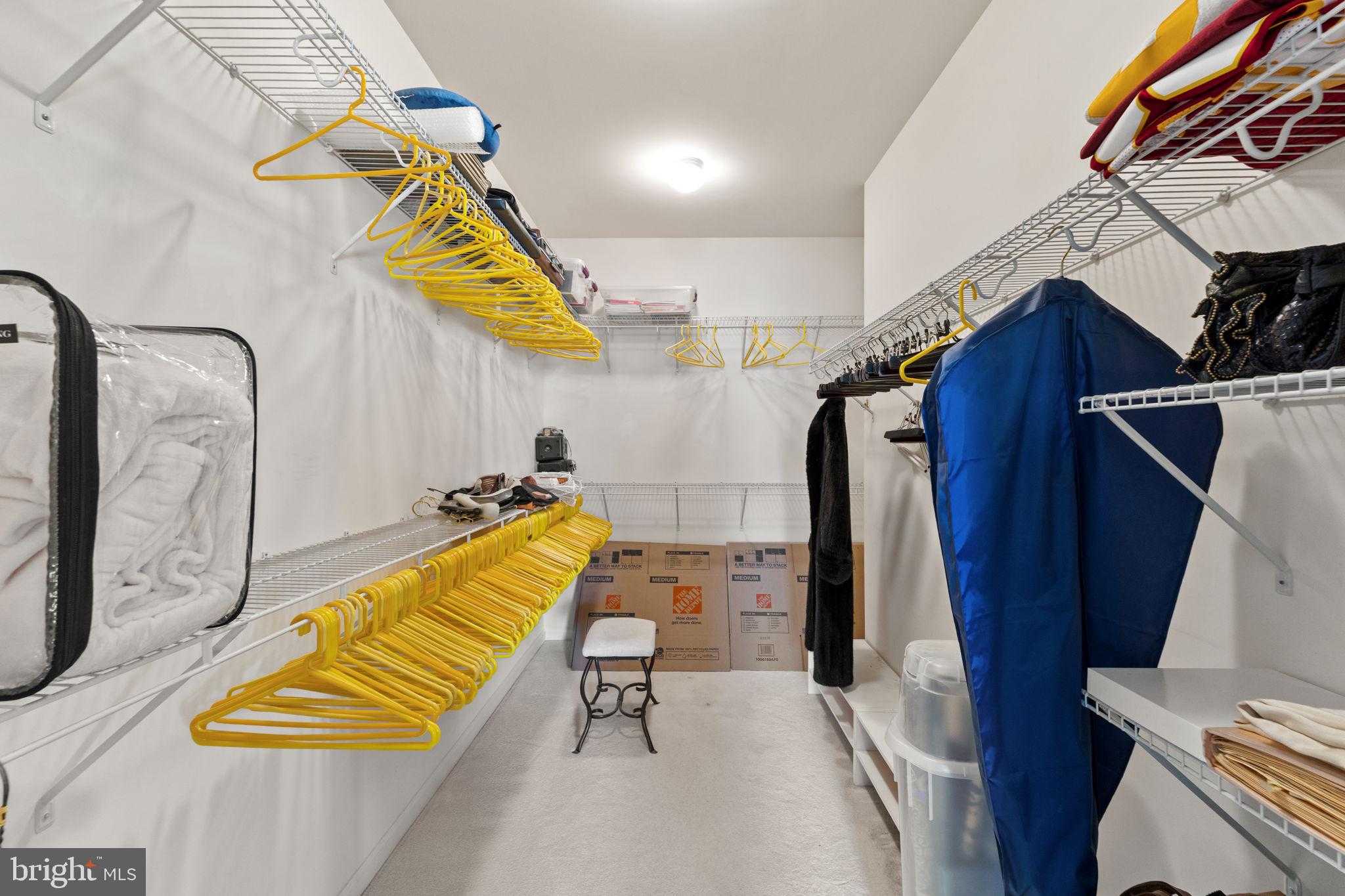 24661 Woolly Mammoth Ter Unit 403 photo 22