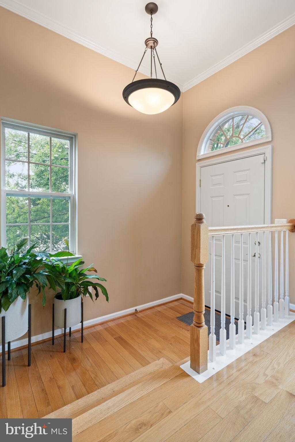 6737 Applemint Ln photo 2