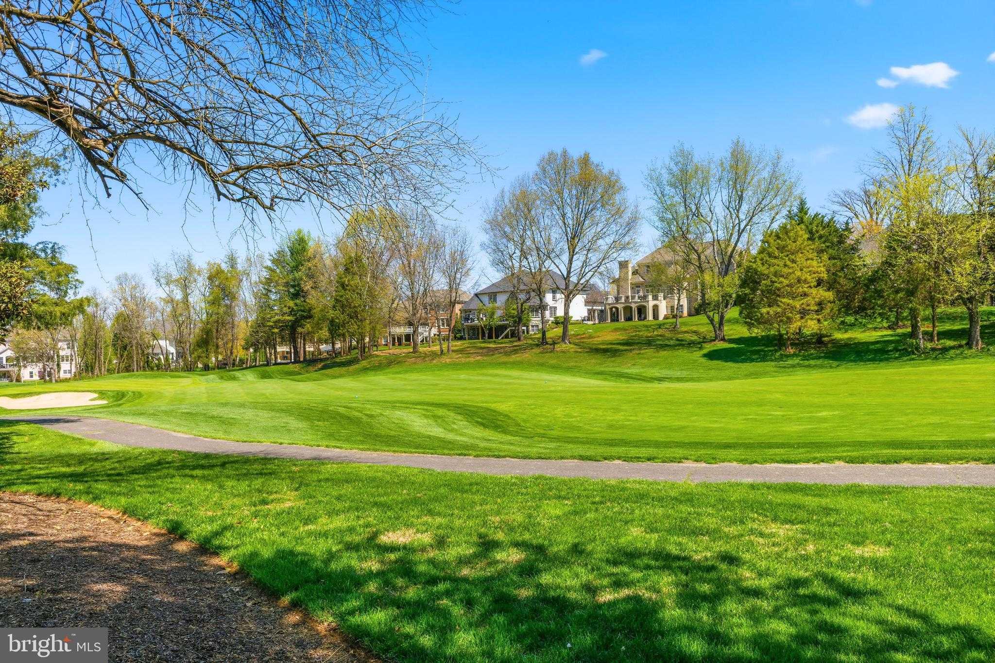 8306 Roxborough Loop photo 94