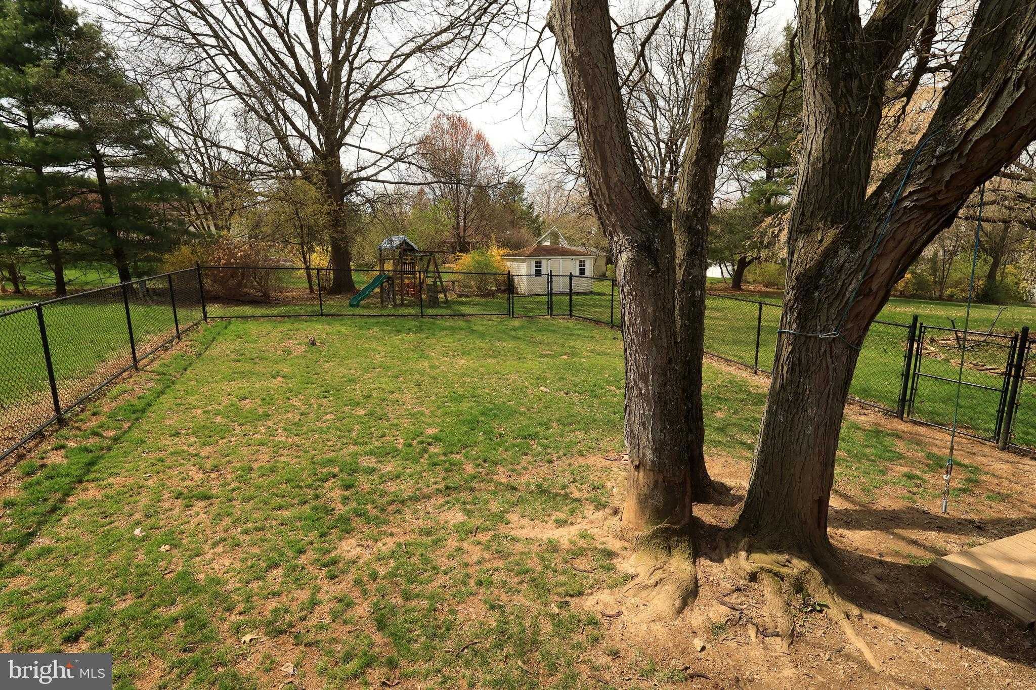 915 Bayberry Dr photo 49