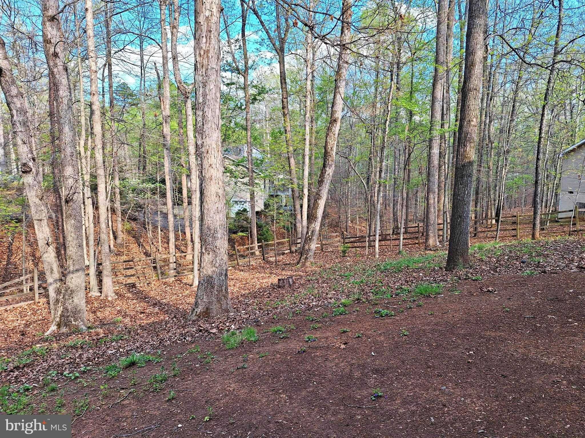 12 Albano CT photo 38