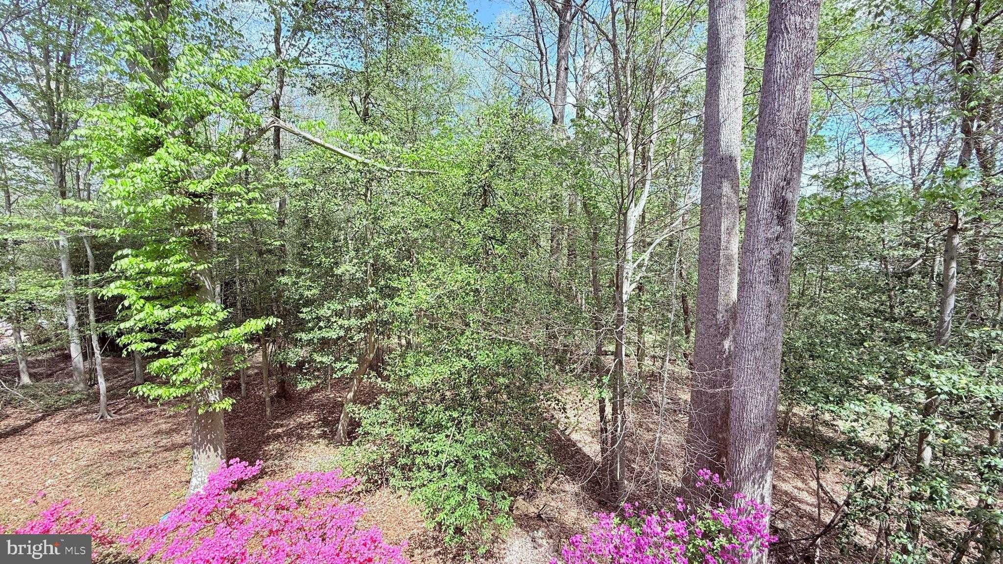 514 Dogwood CT photo 45