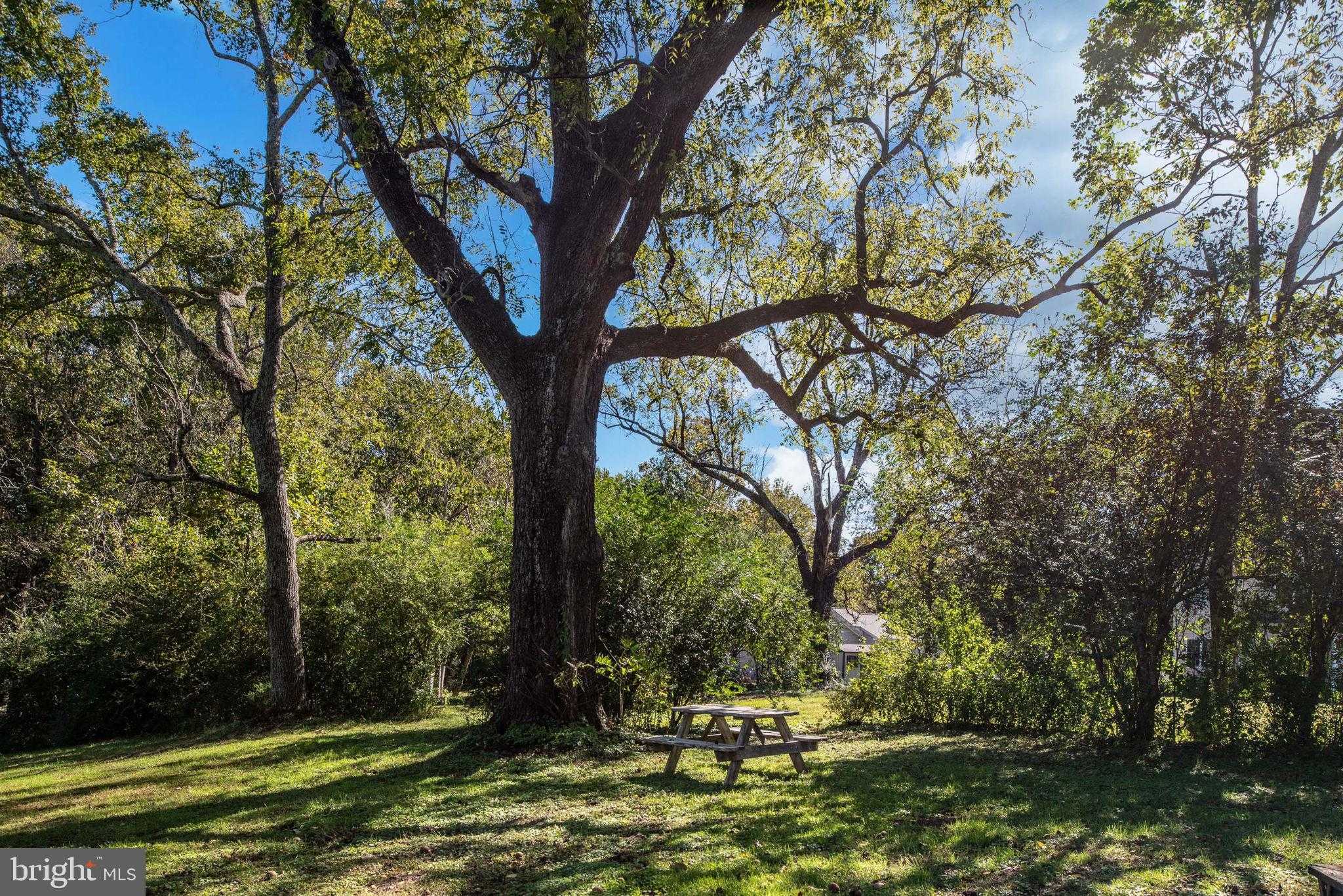 8606 Stevenson Dr photo 31