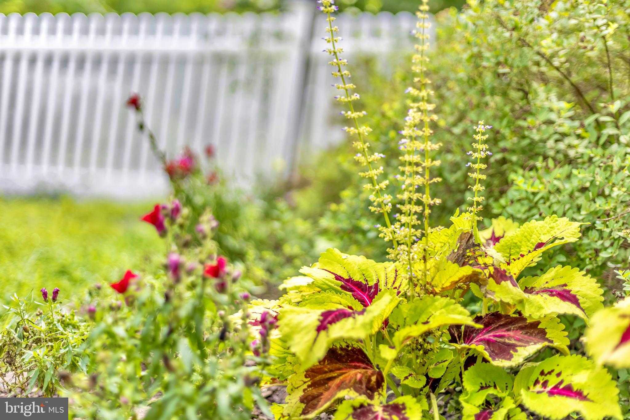 321 Front St photo 43