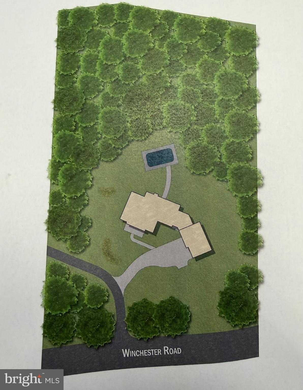 1603 Winchester Rd photo 7
