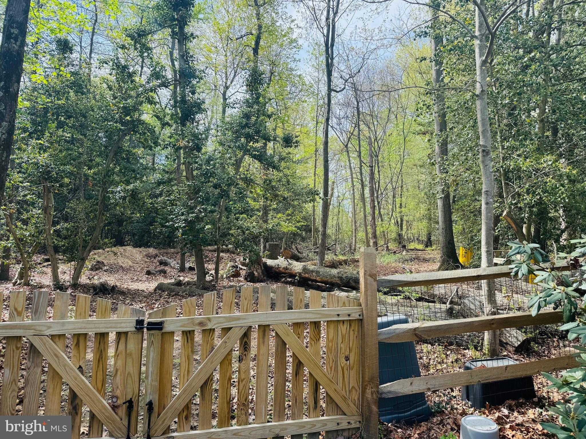 303 Swaying Oak CT photo 5