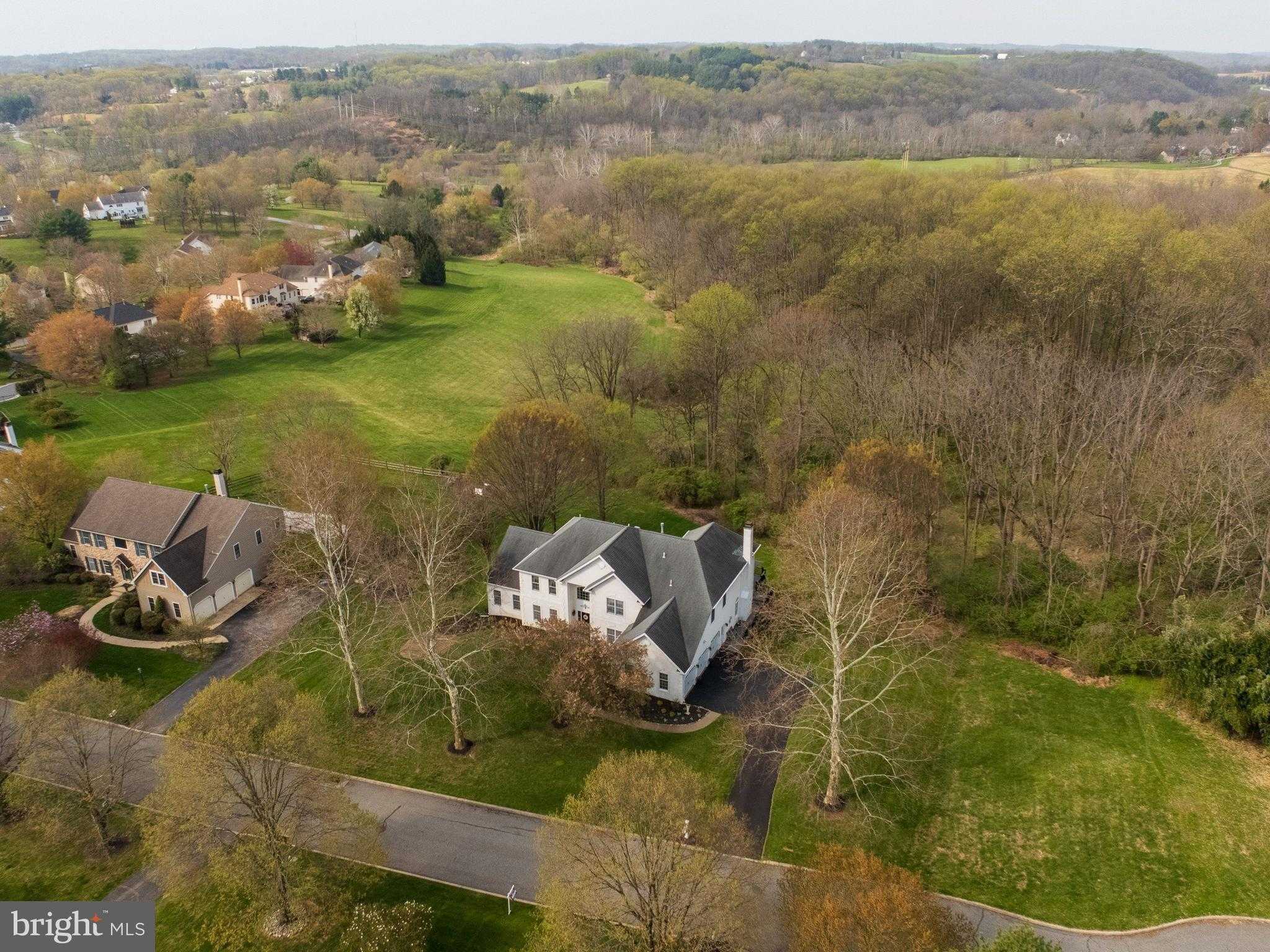 290 Dressage CT photo 67